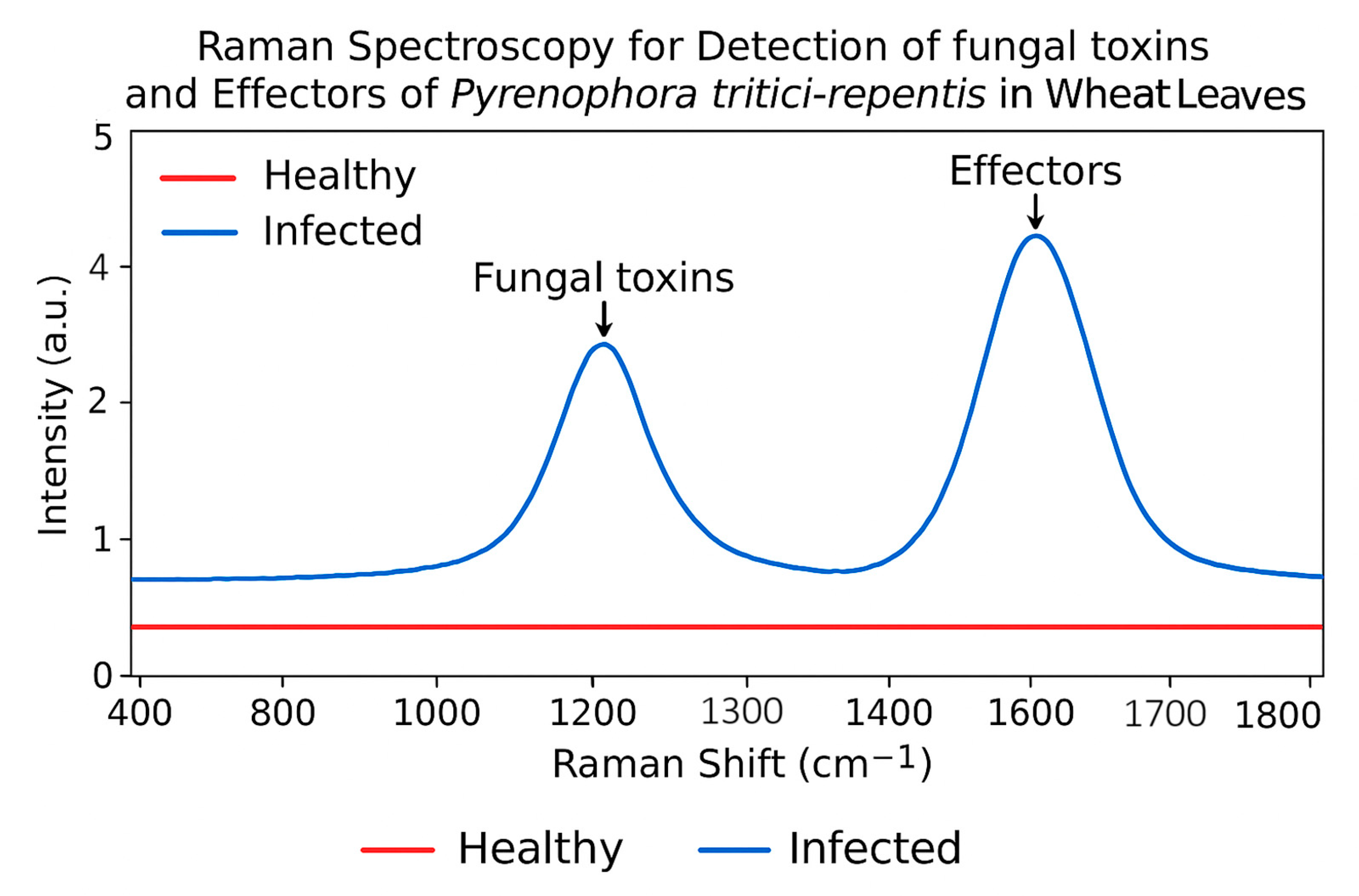 Agronomy 15 01952 g005 Agronomy 15 01952 g005
