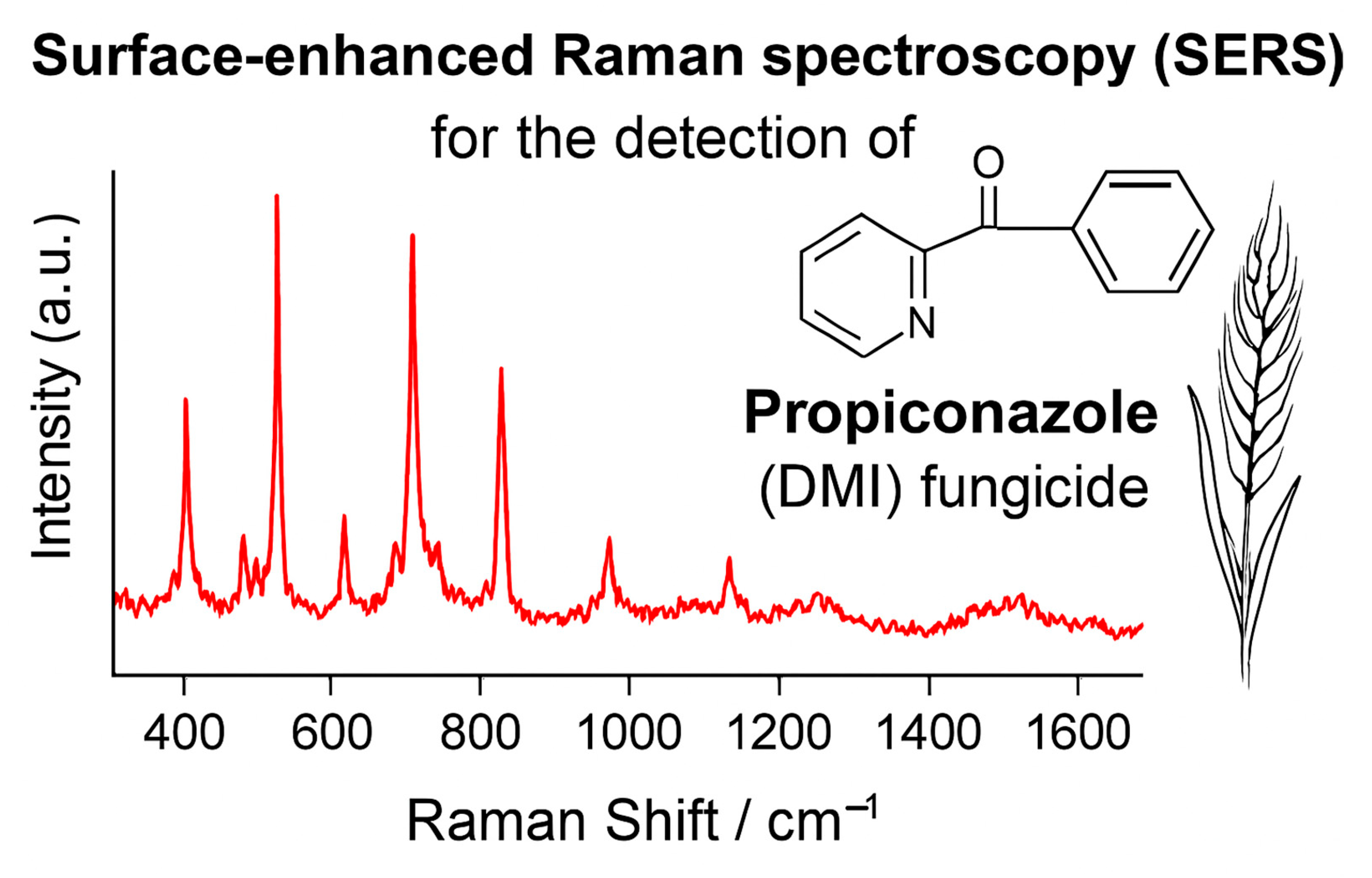Agronomy 15 01952 g006 Agronomy 15 01952 g006