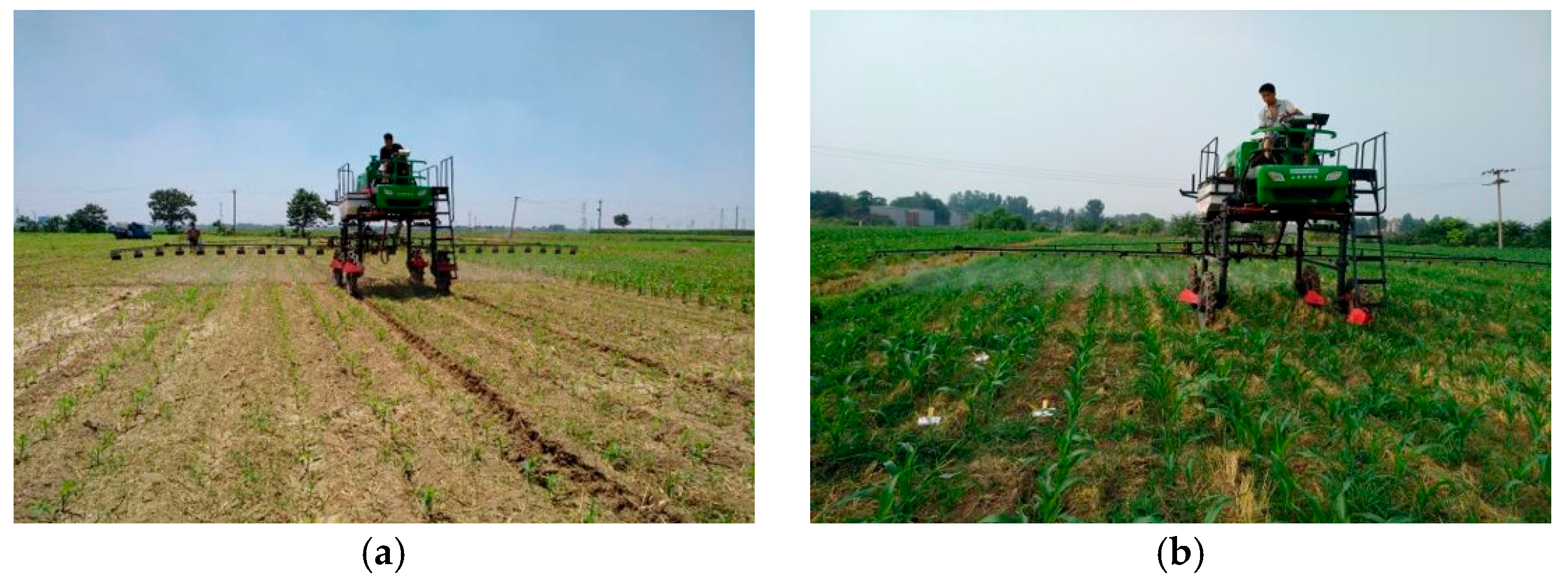 Agronomy 15 01953 g003