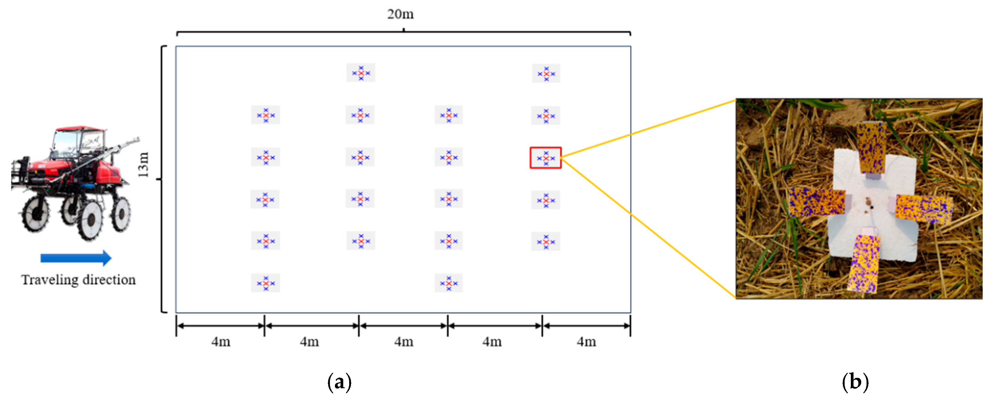 Agronomy 15 01953 g005