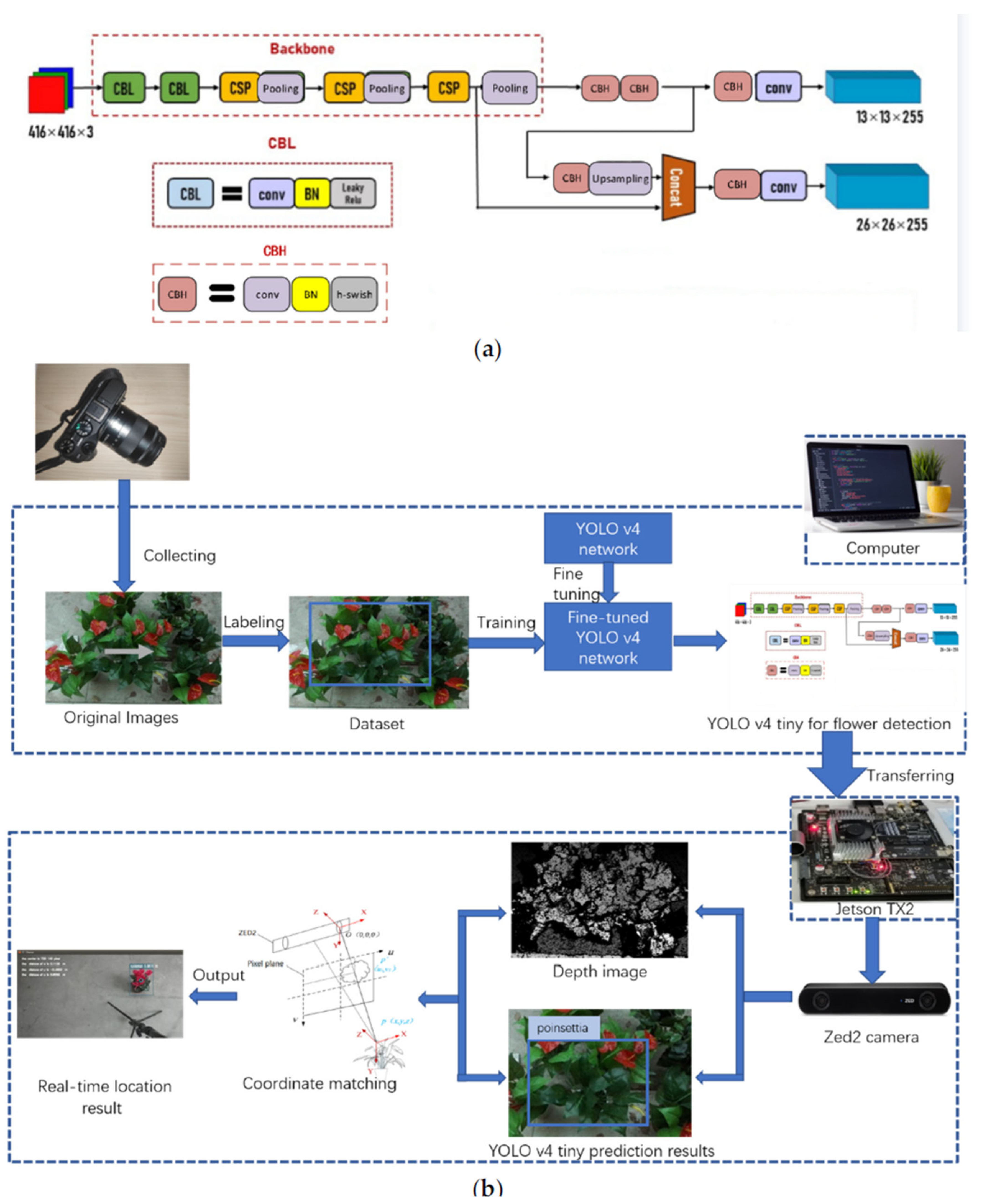 Agronomy 15 01954 g003 Agronomy 15 01954 g003