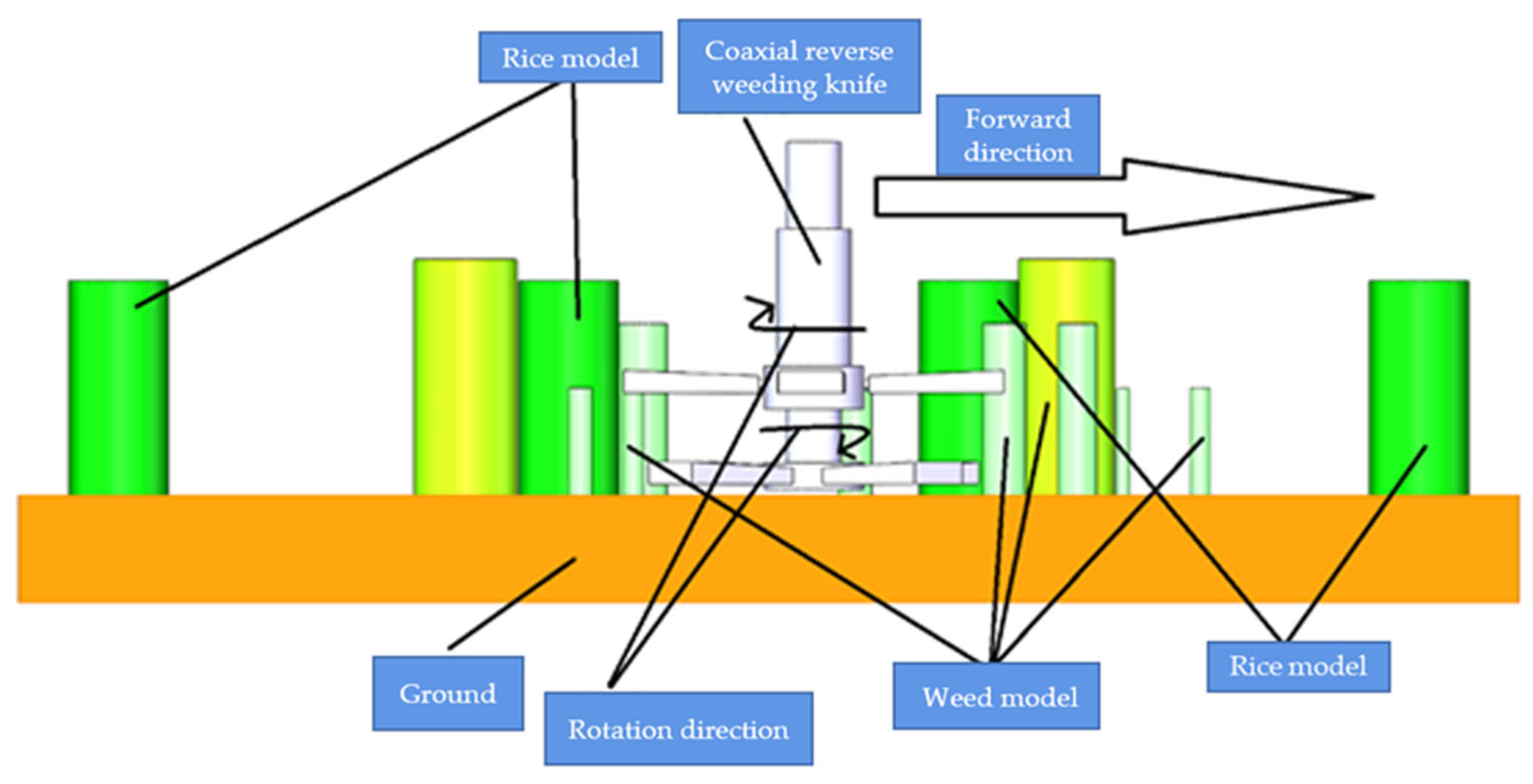 Agronomy 15 01954 g007 Agronomy 15 01954 g007