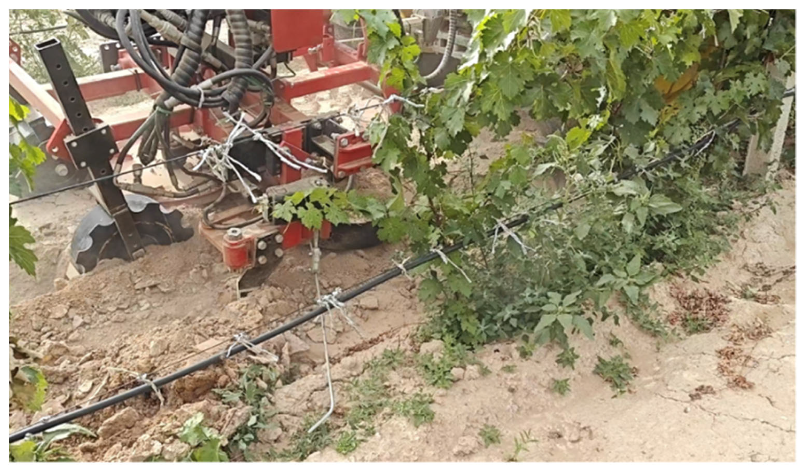 Agronomy 15 01954 g008 Agronomy 15 01954 g008