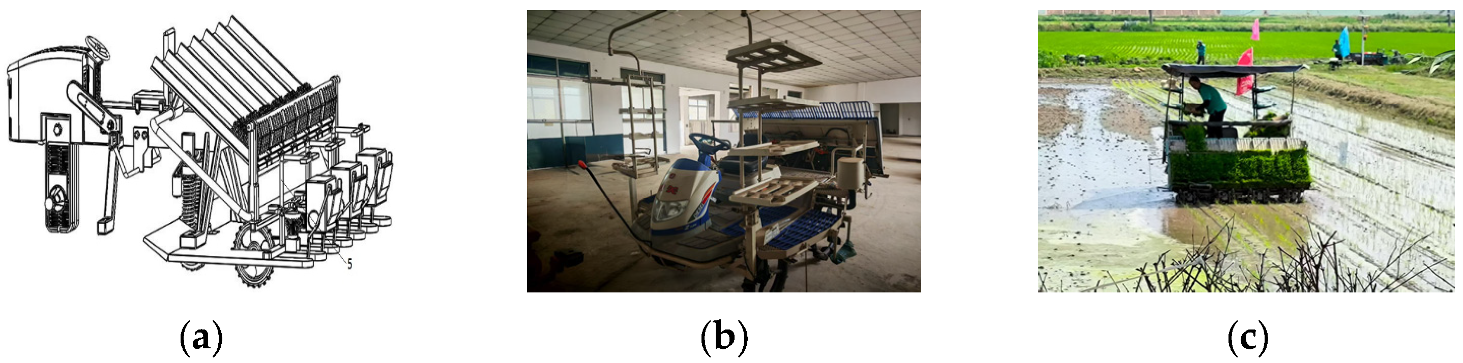 Agronomy 15 01962 g001