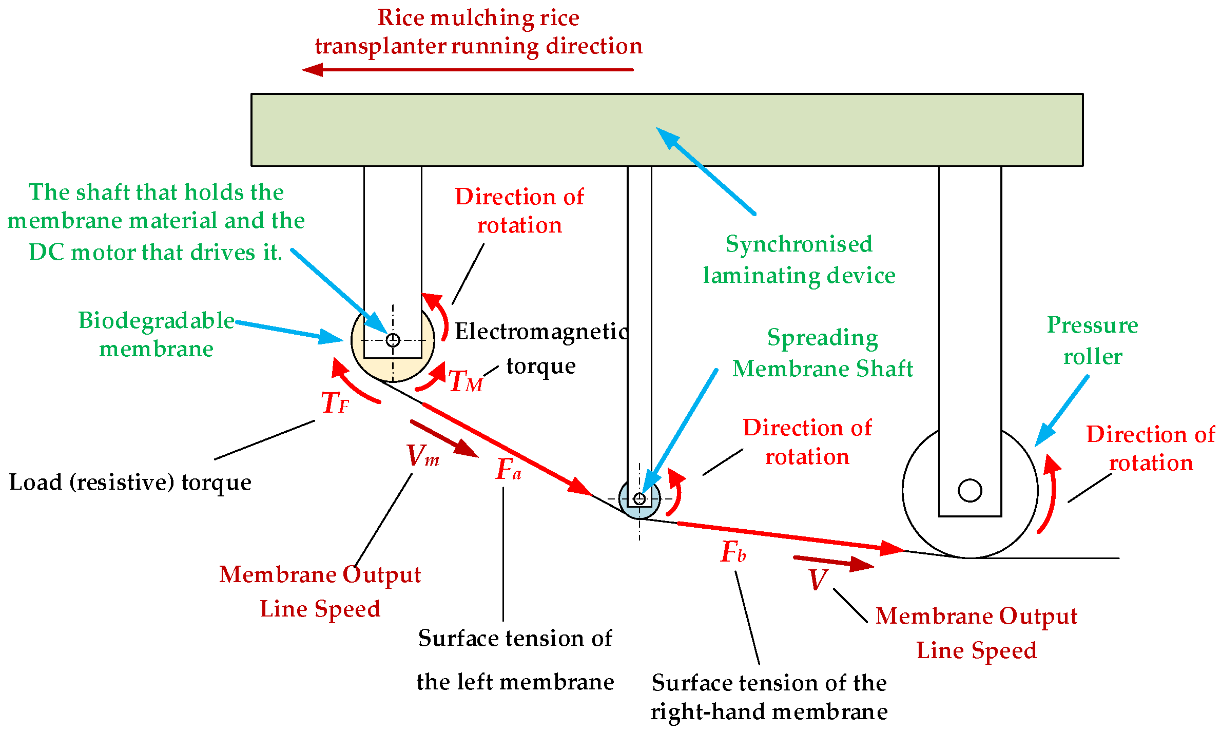 Agronomy 15 01962 g004