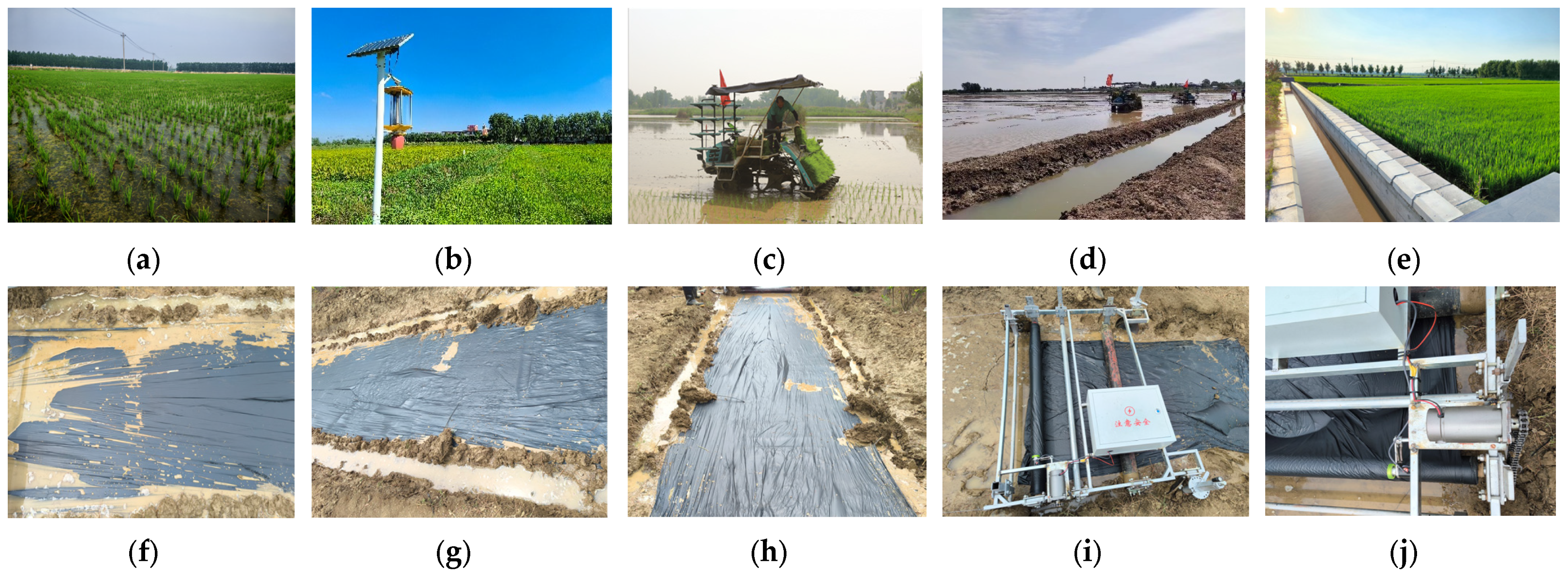 Agronomy 15 01962 g031