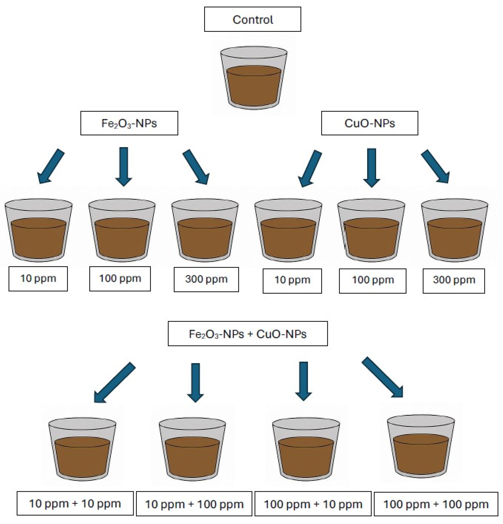 Agronomy 15 01967 g001