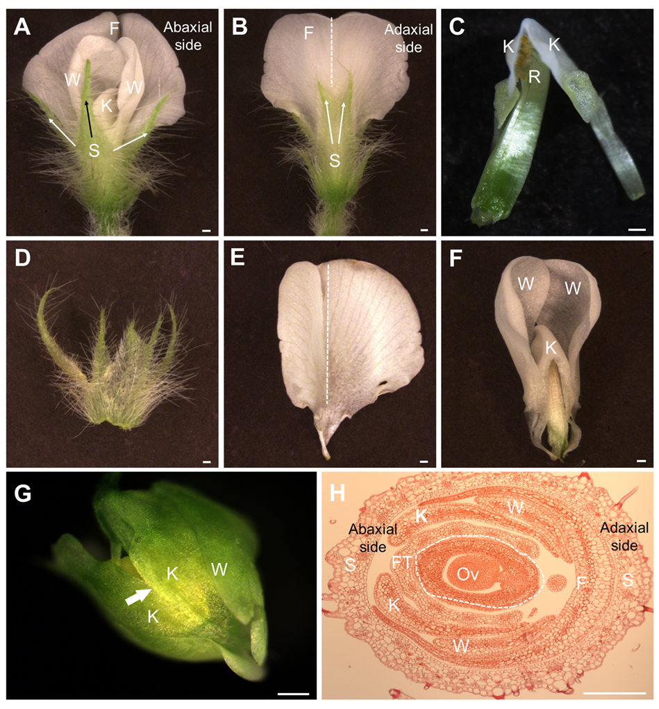 Agronomy 15 01971 g001 Agronomy 15 01971 g001