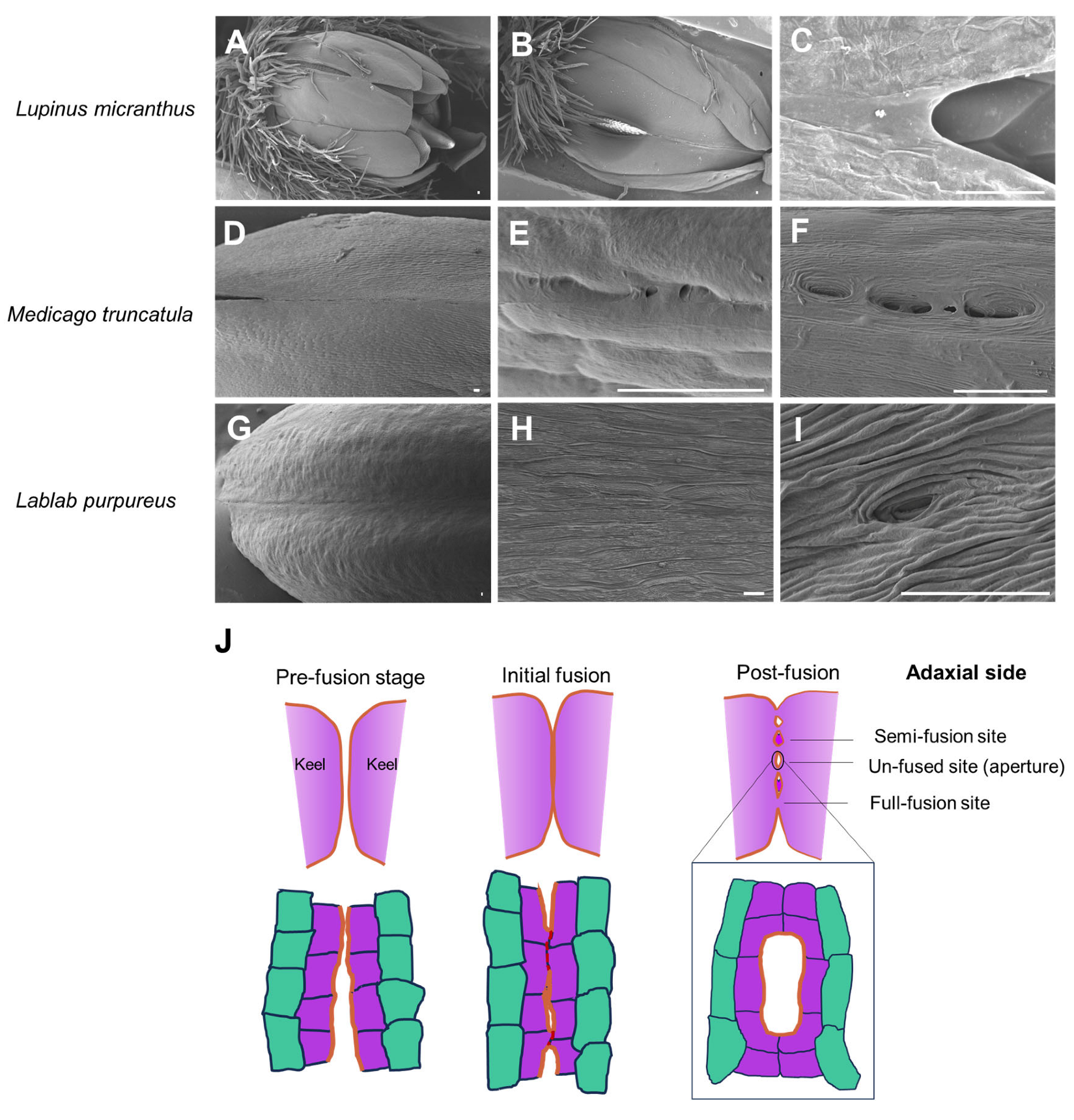 Agronomy 15 01971 g003 Agronomy 15 01971 g003