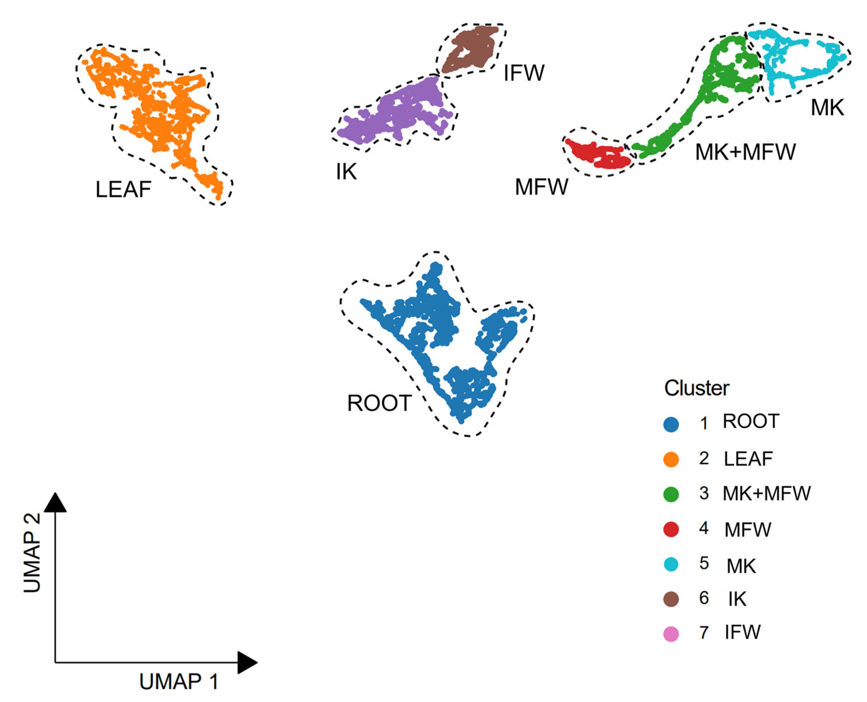 Agronomy 15 01971 g007 Agronomy 15 01971 g007