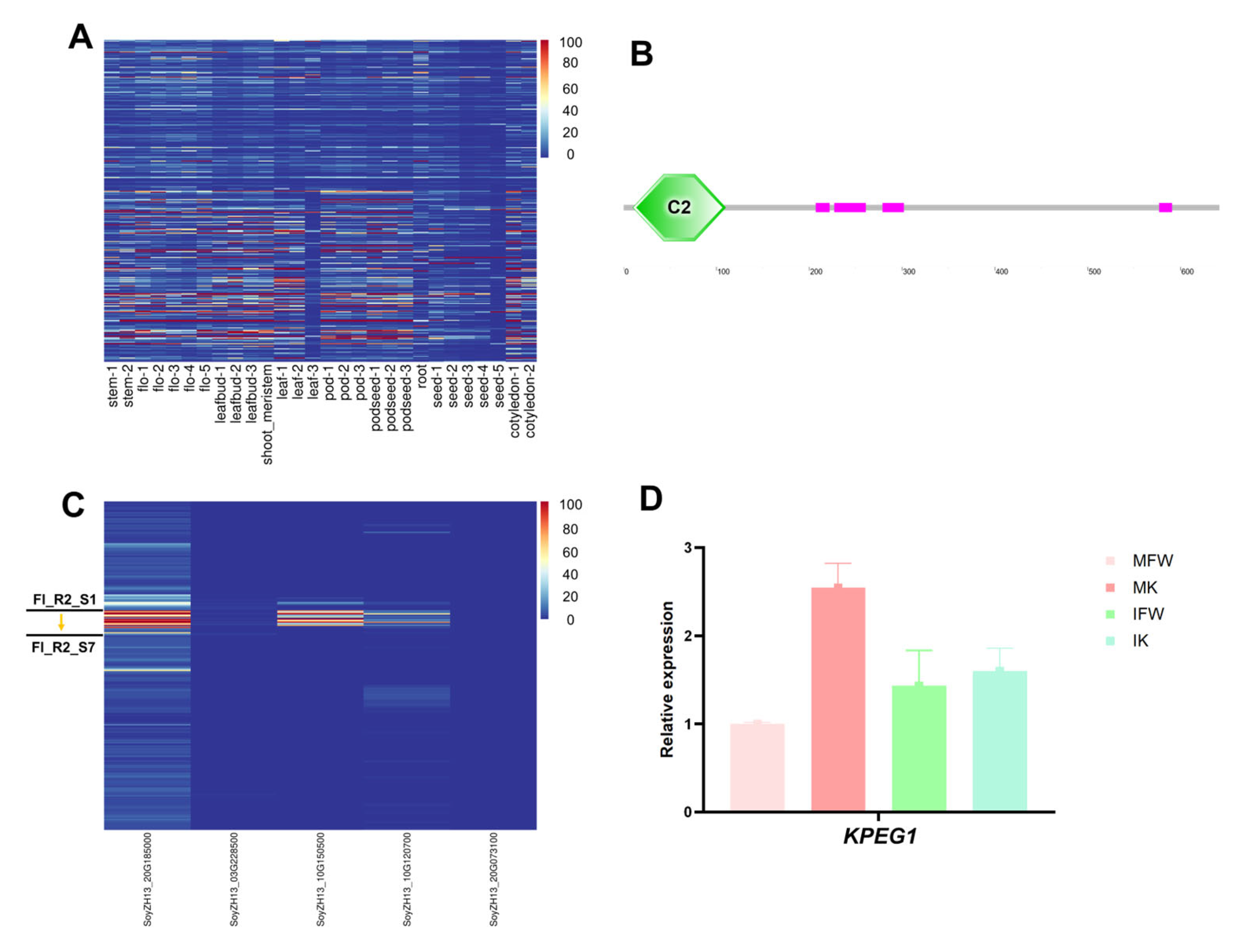 Agronomy 15 01971 g010 Agronomy 15 01971 g010
