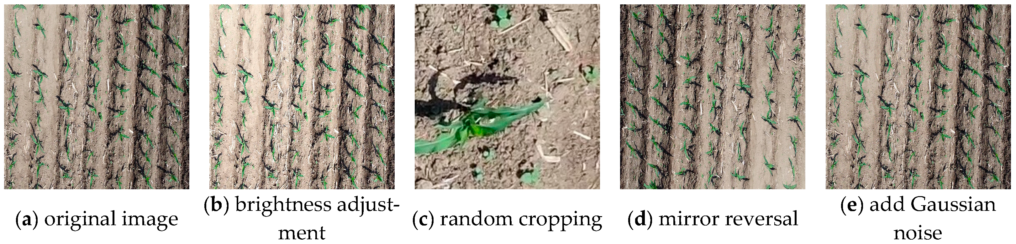 Agronomy 15 01972 g002 Agronomy 15 01972 g002