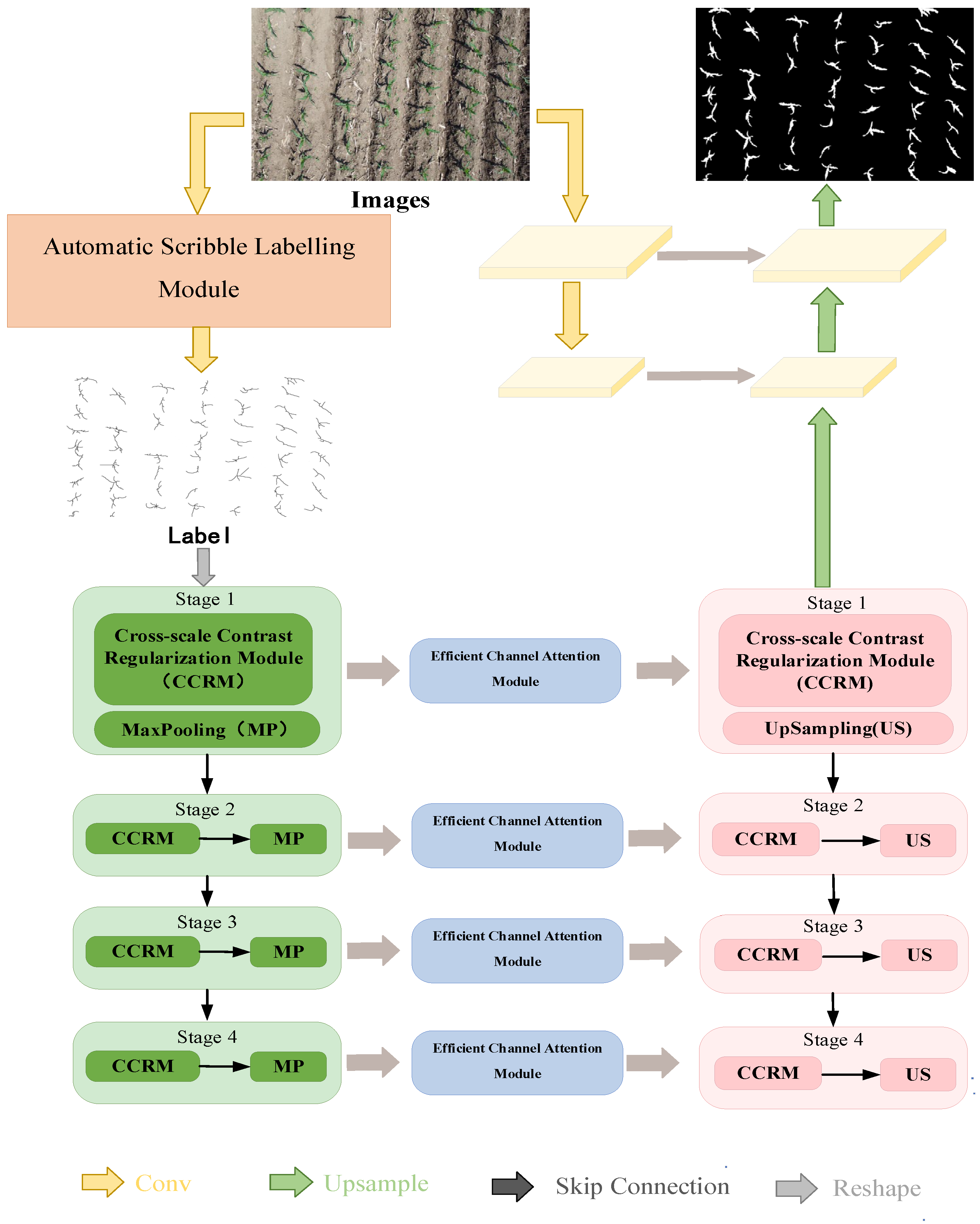 Agronomy 15 01972 g003 Agronomy 15 01972 g003