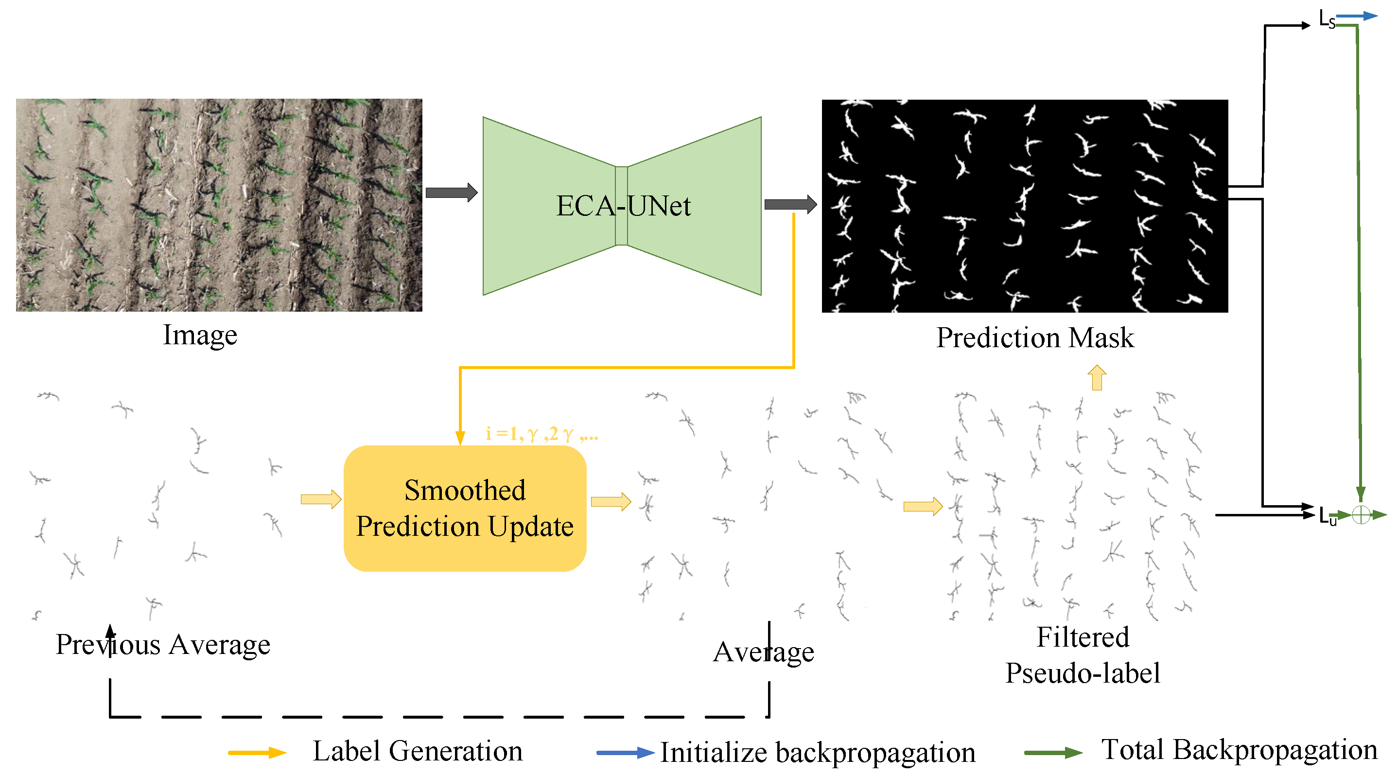 Agronomy 15 01972 g006 Agronomy 15 01972 g006