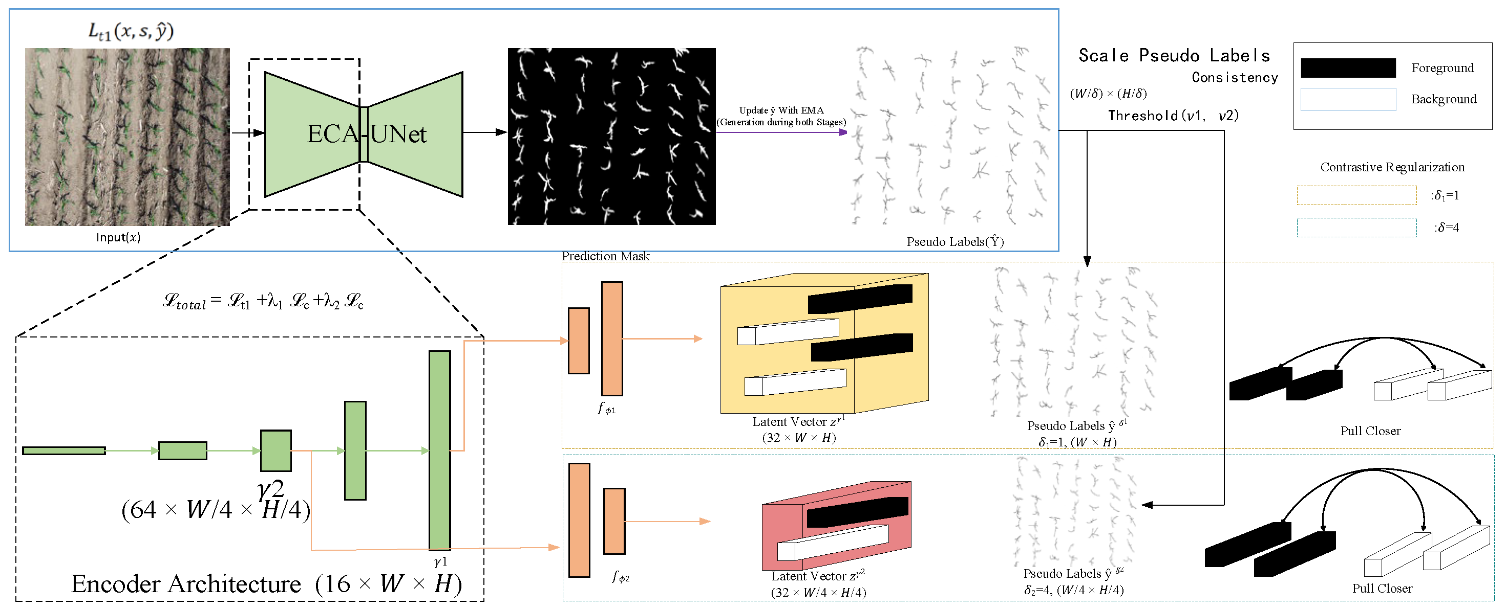 Agronomy 15 01972 g007 Agronomy 15 01972 g007