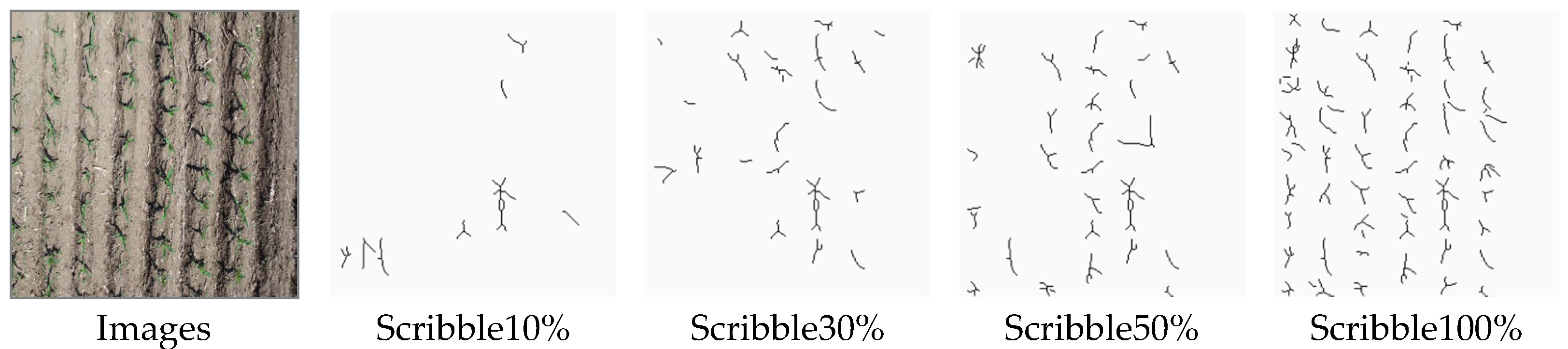 Agronomy 15 01972 g009 Agronomy 15 01972 g009