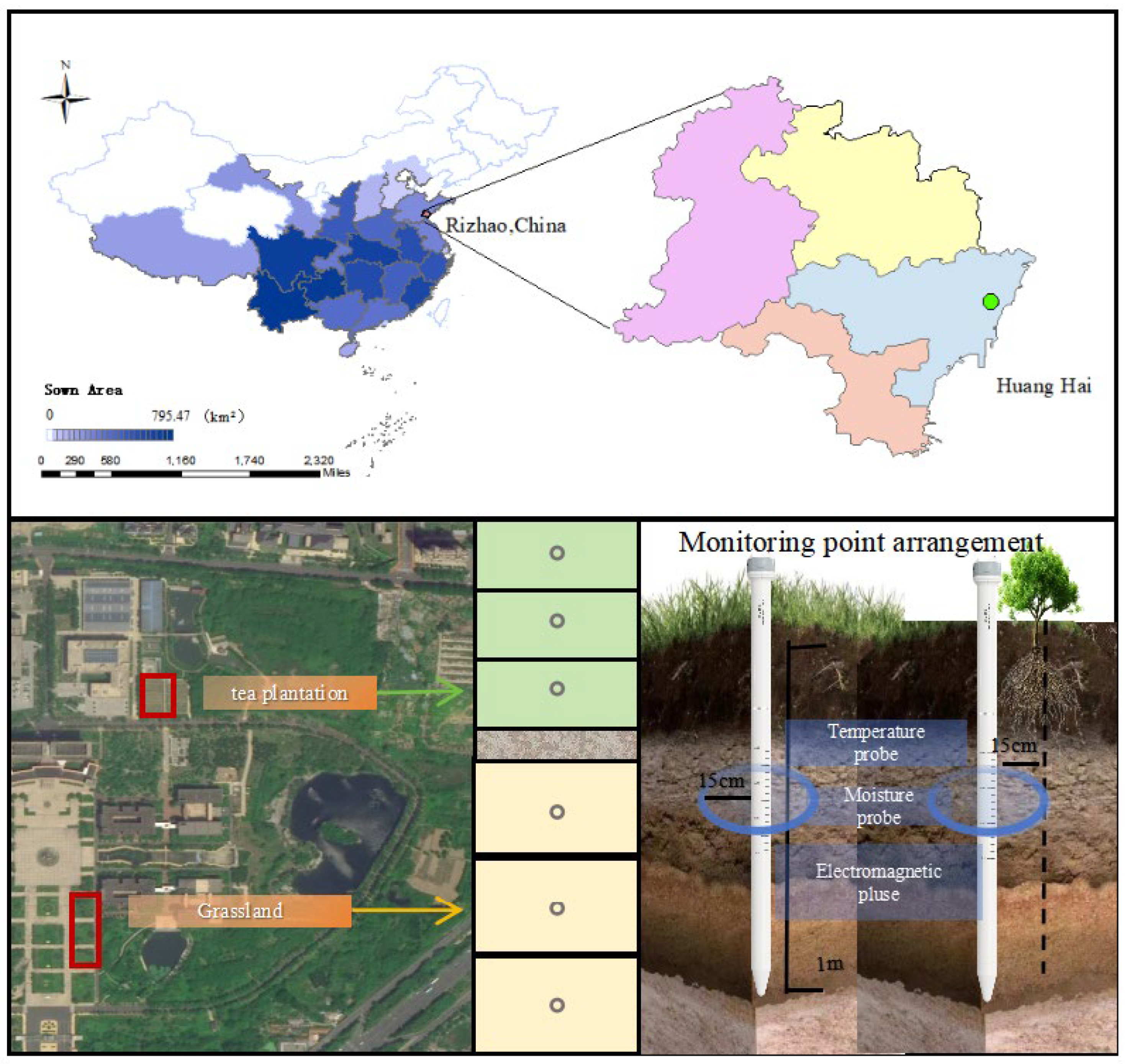 Agronomy 15 01973 g002