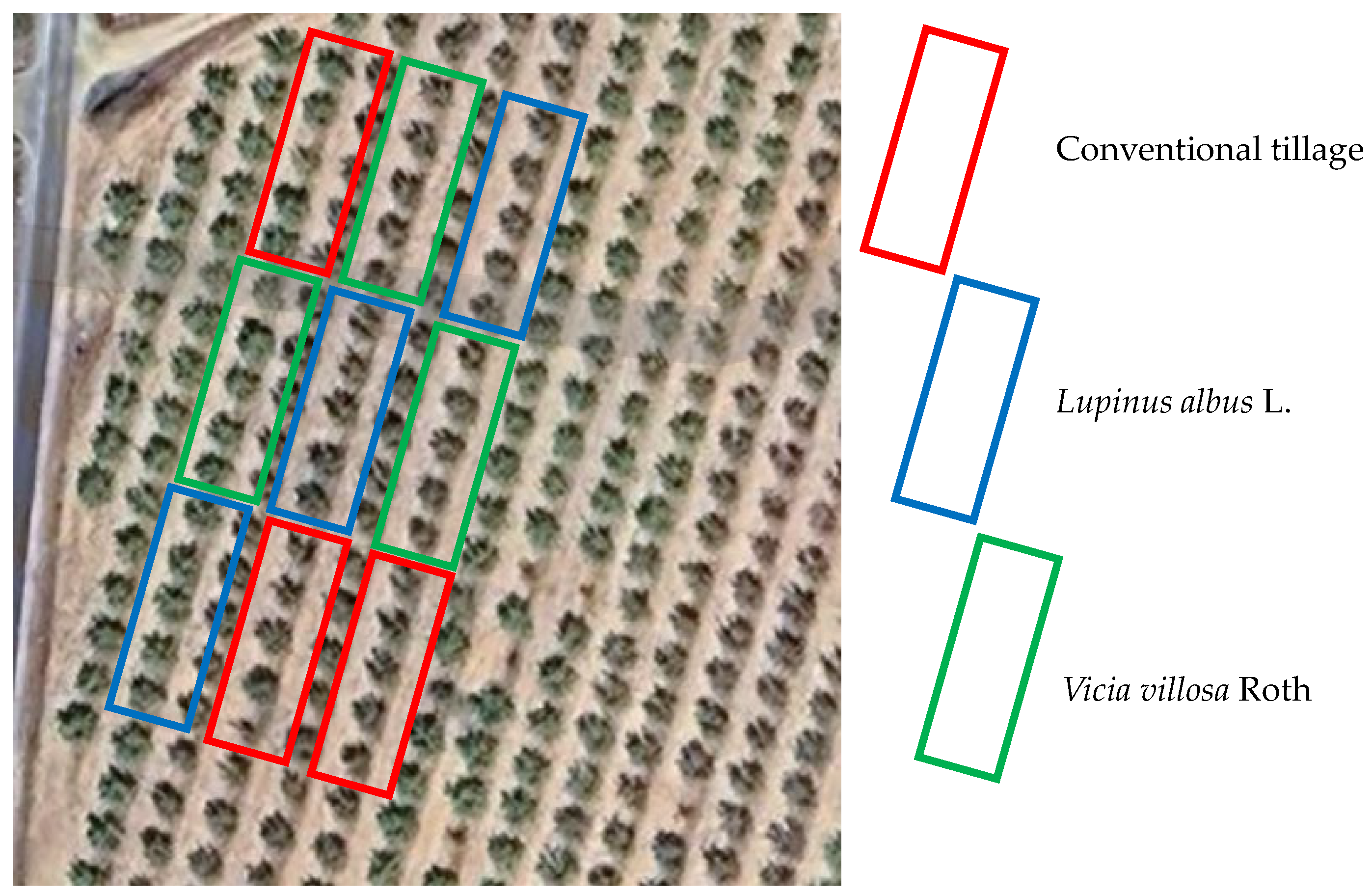 Agronomy 15 01974 g002