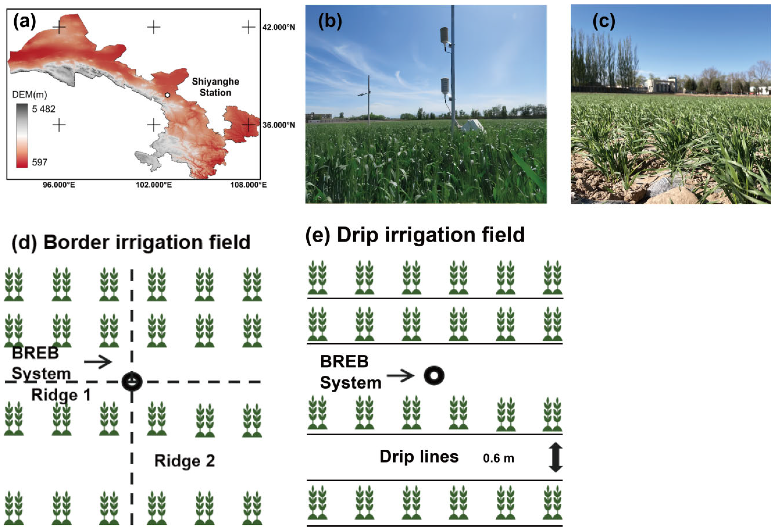 Agronomy 15 01984 g001