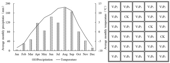 Soil Nitrogen Prevails in Controlling Alpine Meadow