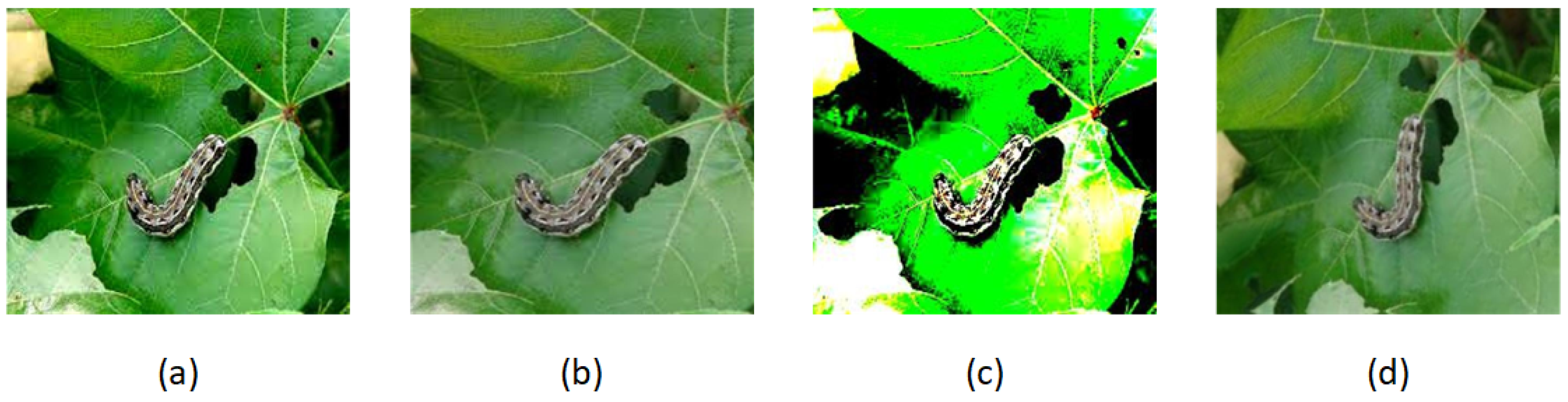 Agronomy 15 01989 g002