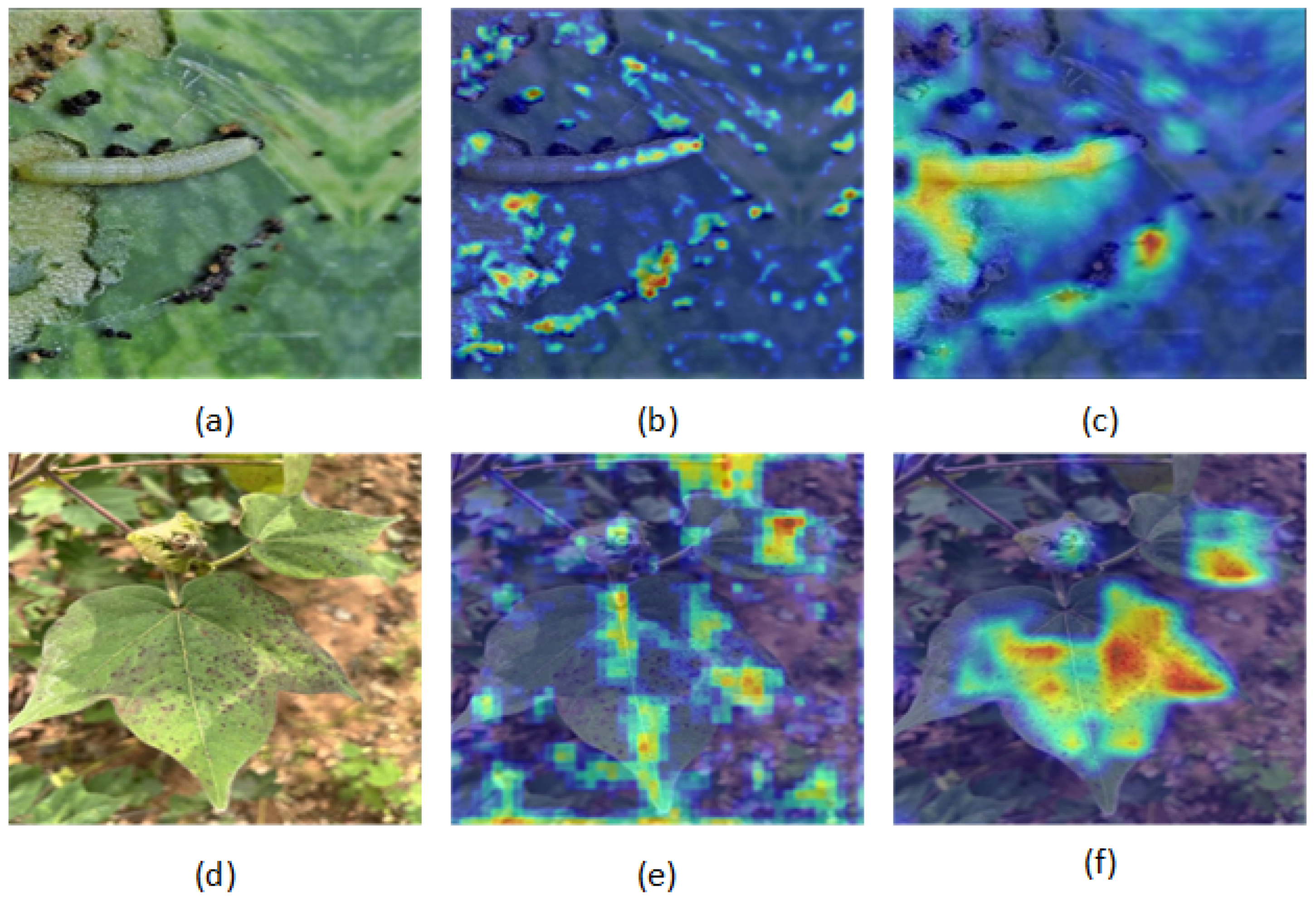 Agronomy 15 01989 g012