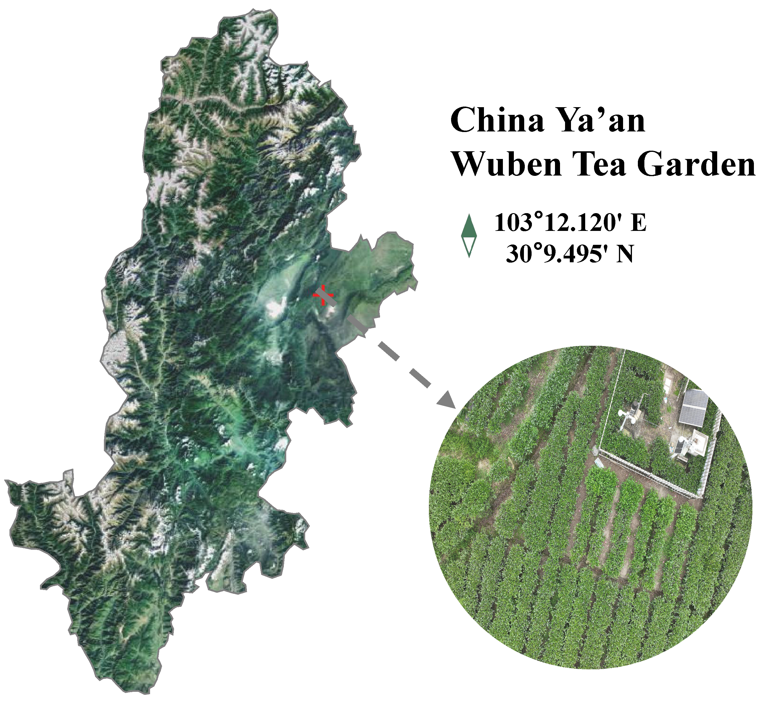 Agronomy 15 01990 g002