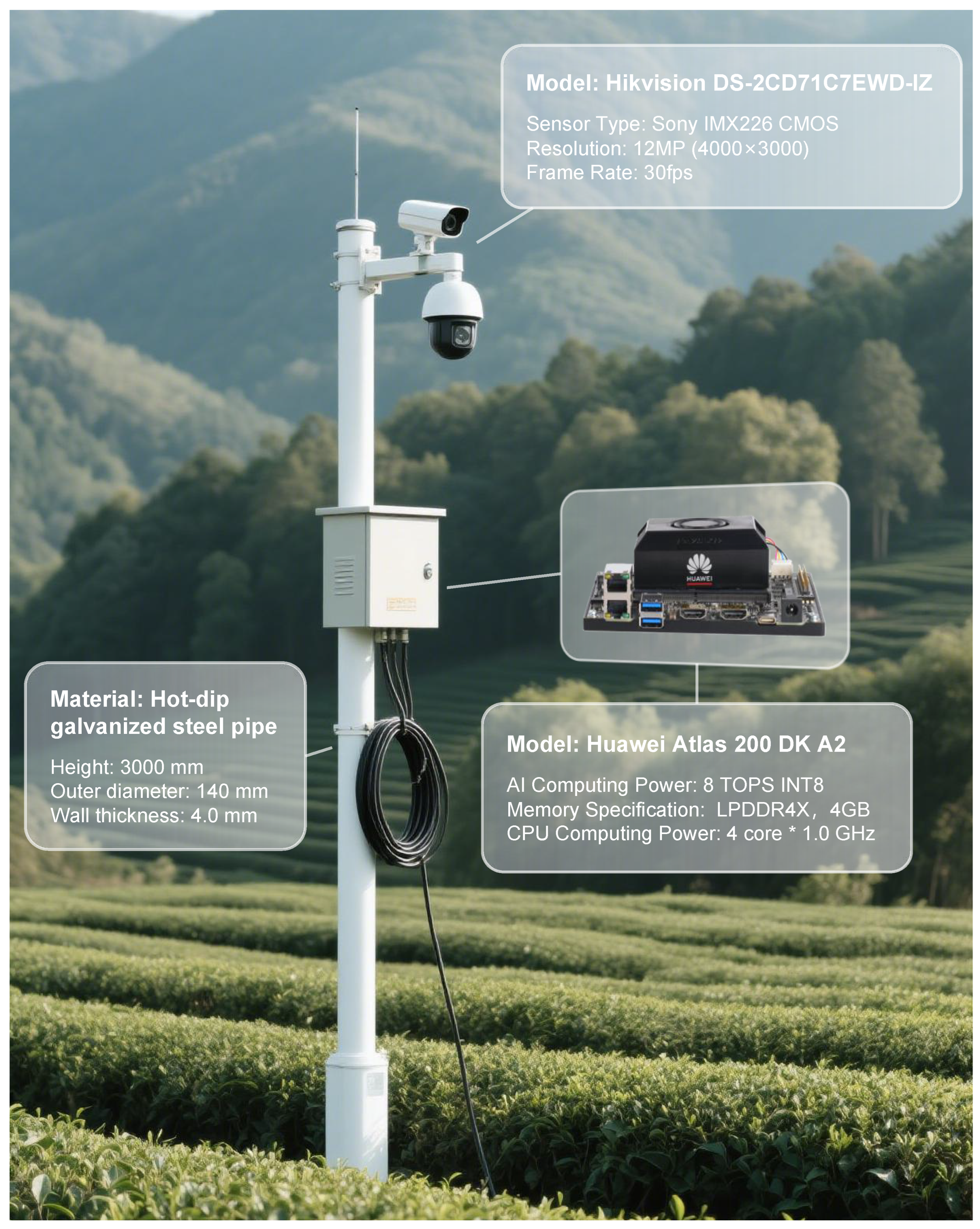 Agronomy 15 01990 g006