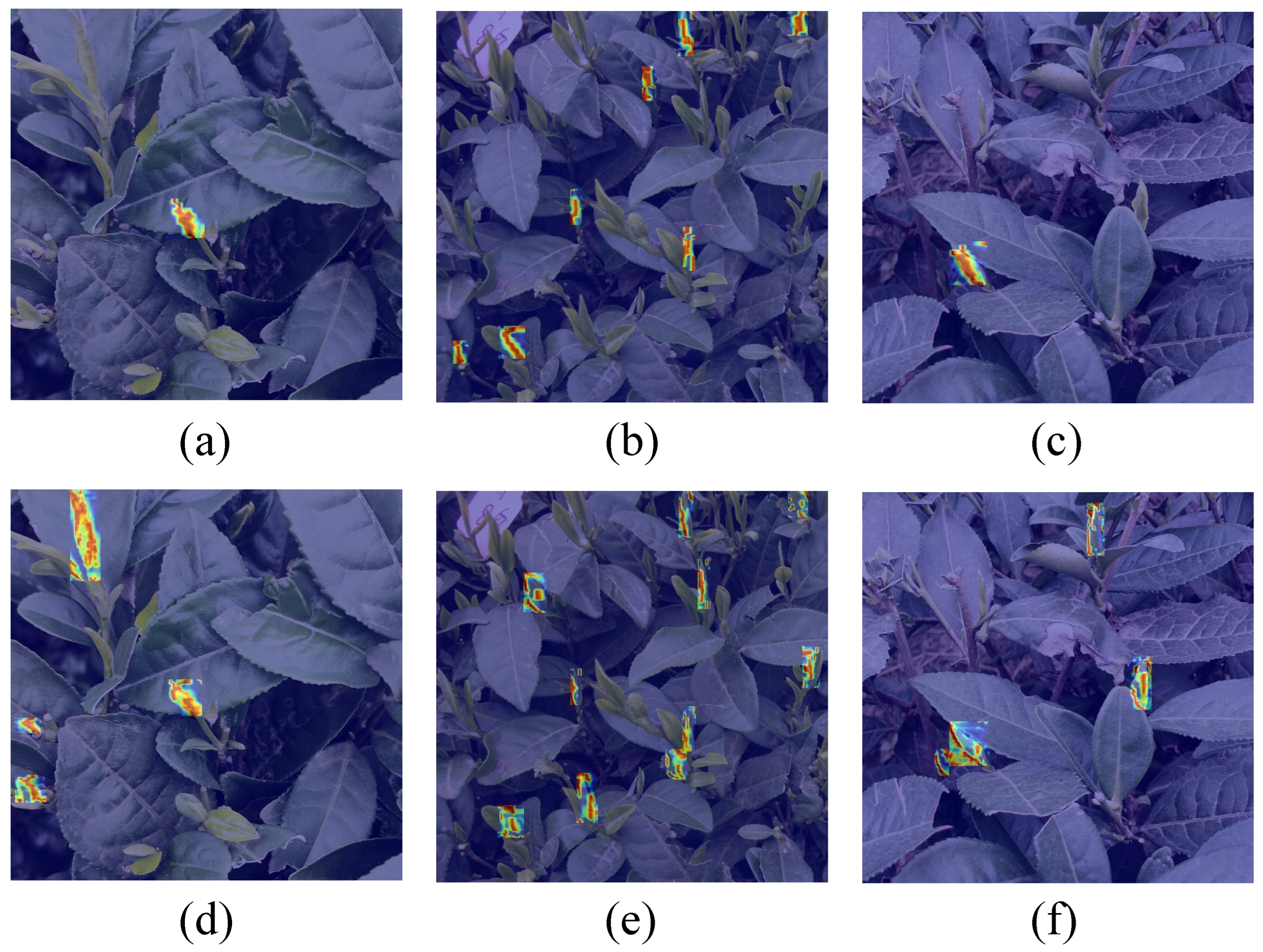 Agronomy 15 01990 g007