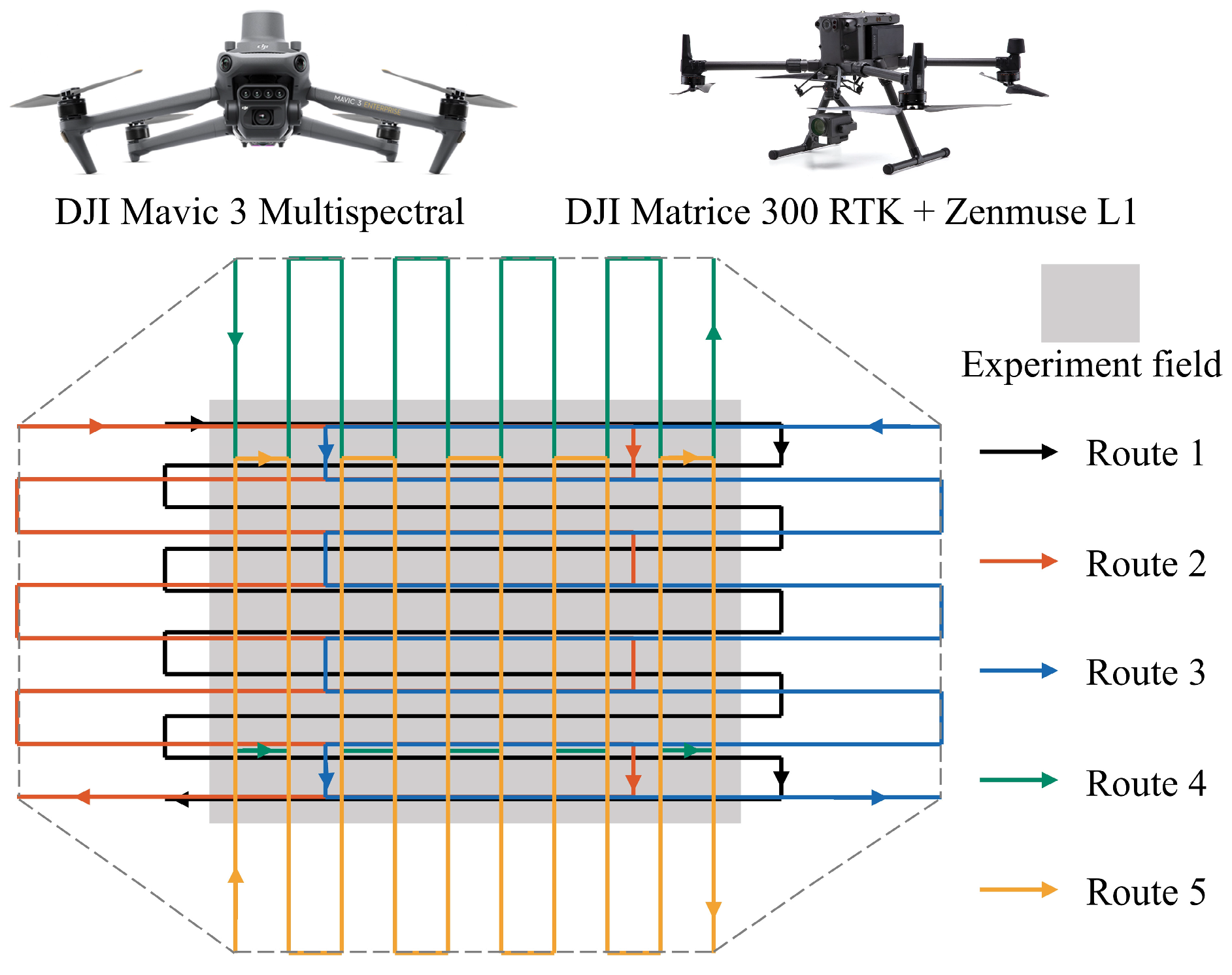 Agronomy 15 01991 g002 Agronomy 15 01991 g002