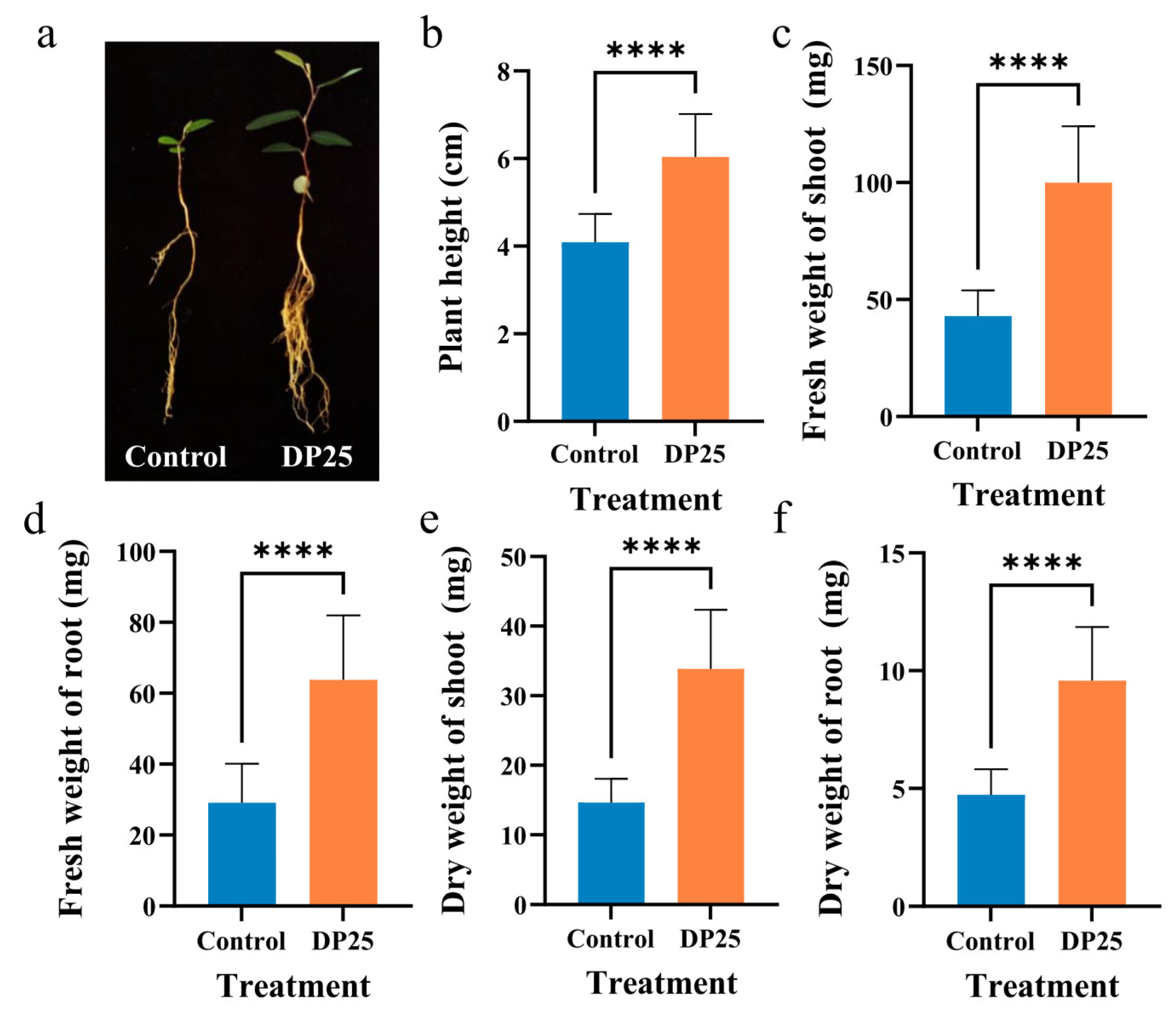 Agronomy 15 01992 g001 Agronomy 15 01992 g001