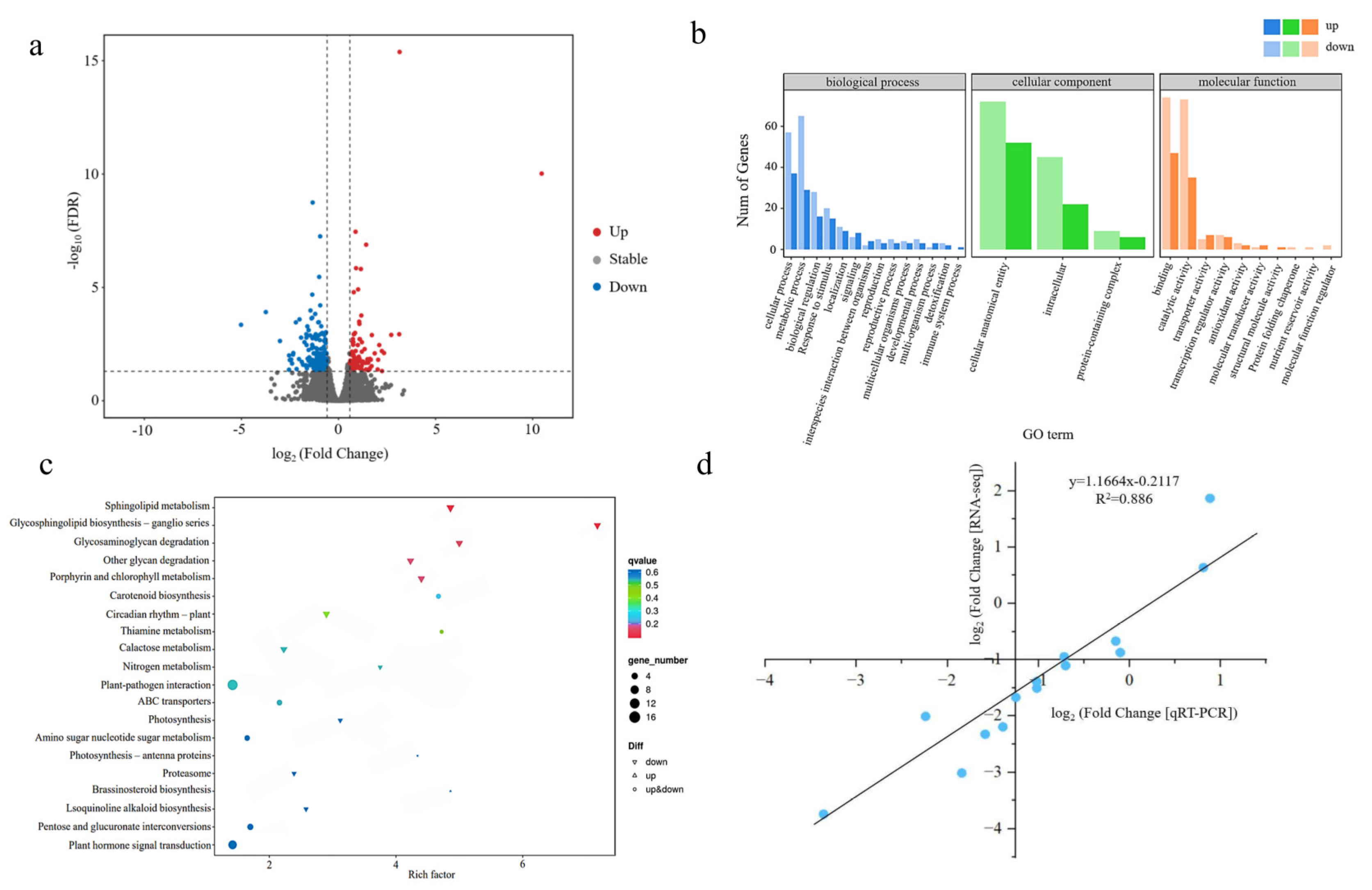 Agronomy 15 01992 g004 Agronomy 15 01992 g004