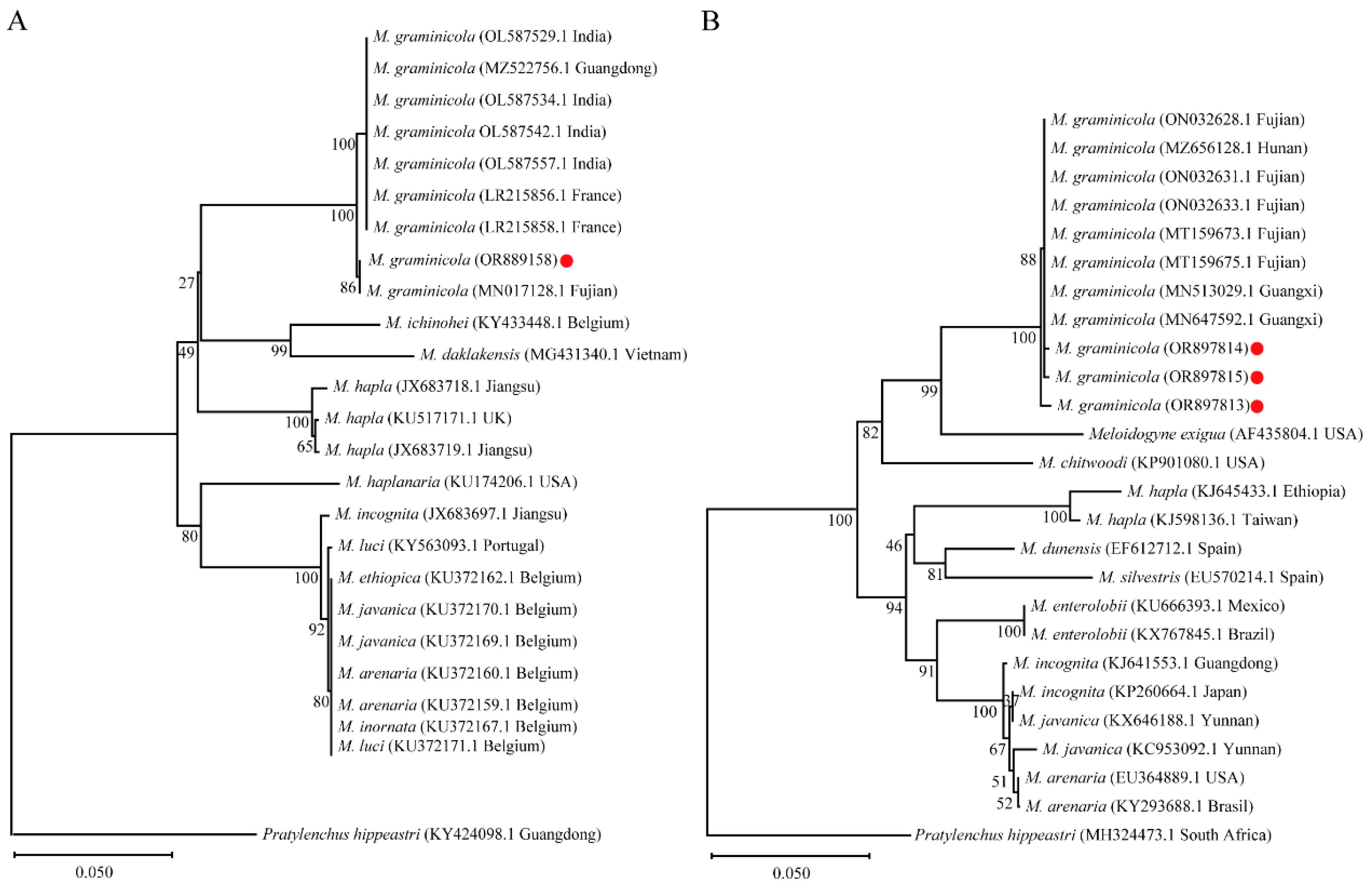 Agronomy 15 01994 g003 Agronomy 15 01994 g003