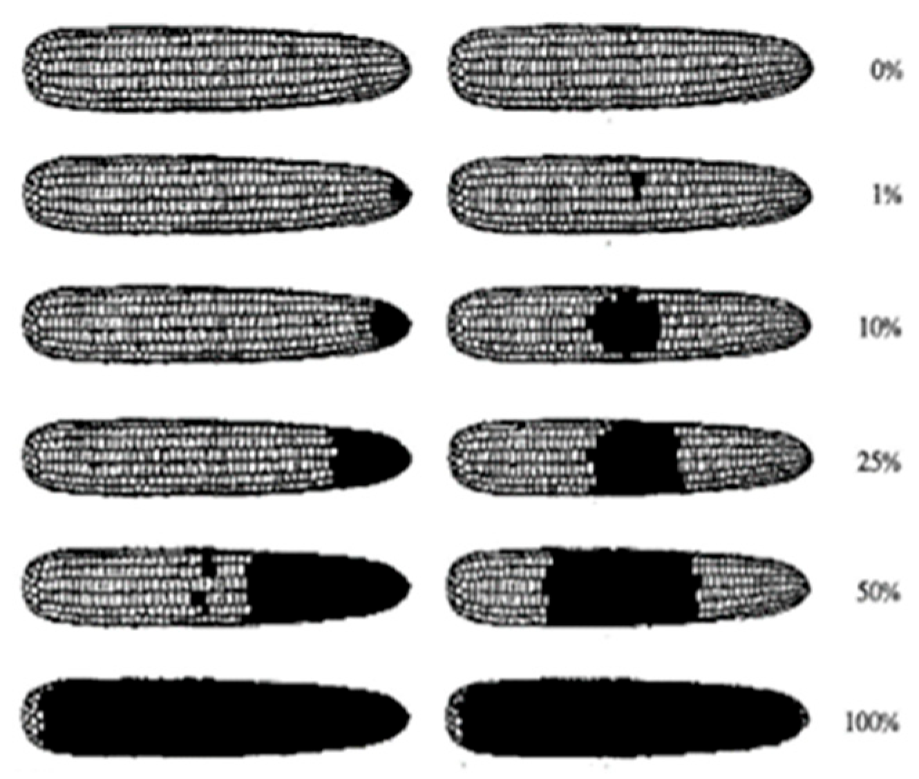 Agronomy 15 02002 g002 Agronomy 15 02002 g002