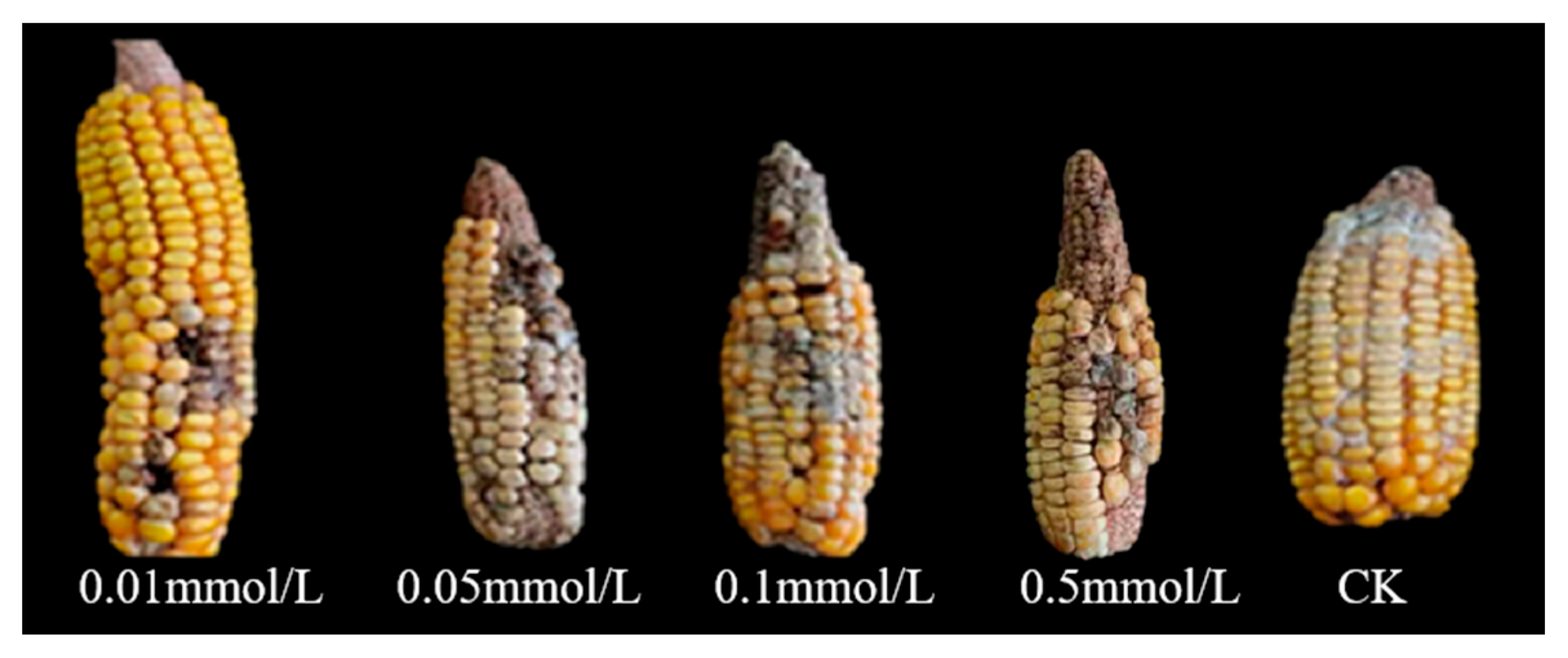 Agronomy 15 02002 g004 Agronomy 15 02002 g004