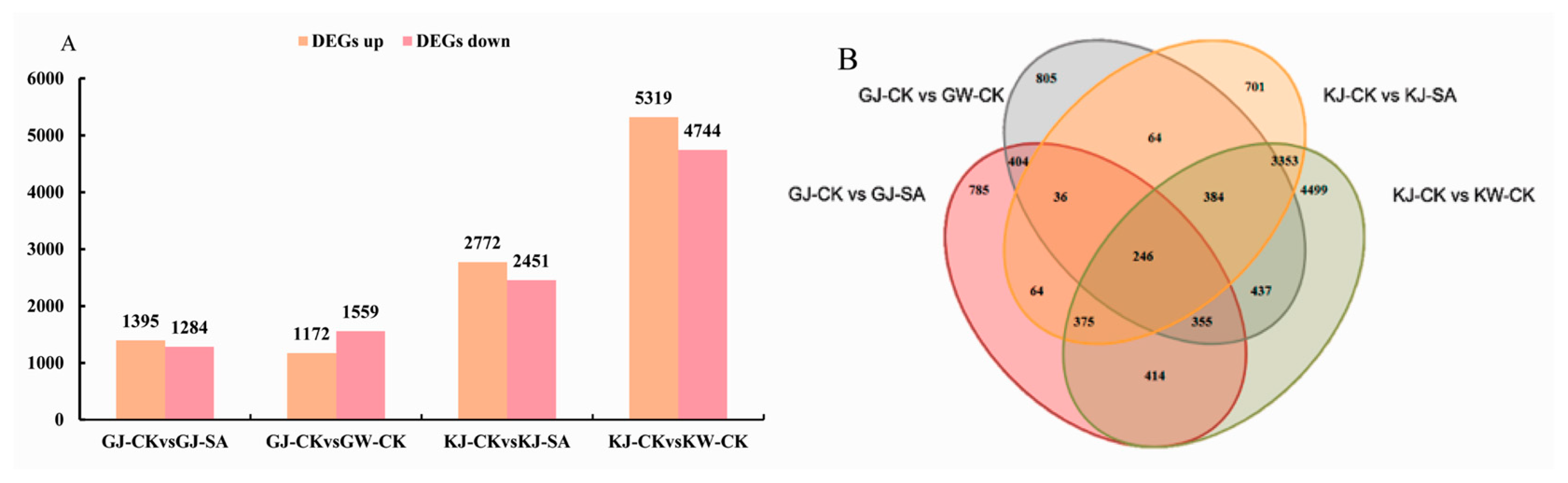 Agronomy 15 02002 g007 Agronomy 15 02002 g007