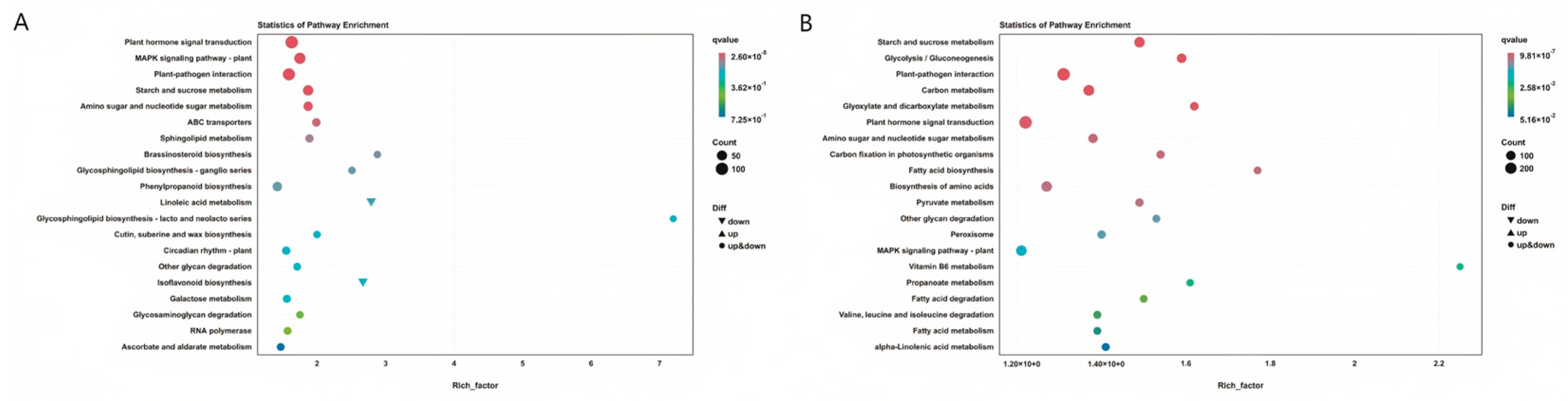 Agronomy 15 02002 g010 Agronomy 15 02002 g010
