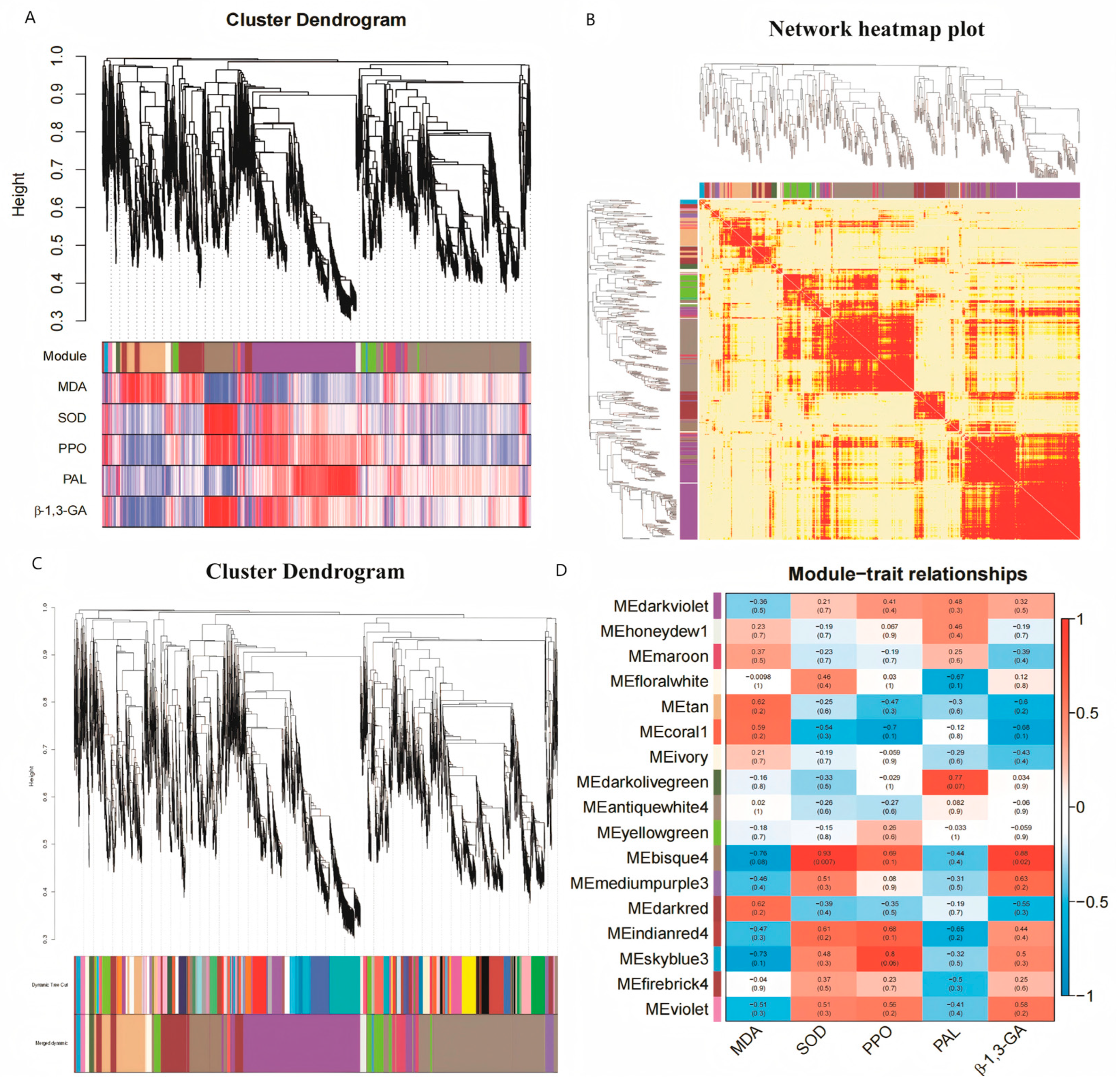 Agronomy 15 02002 g013 Agronomy 15 02002 g013