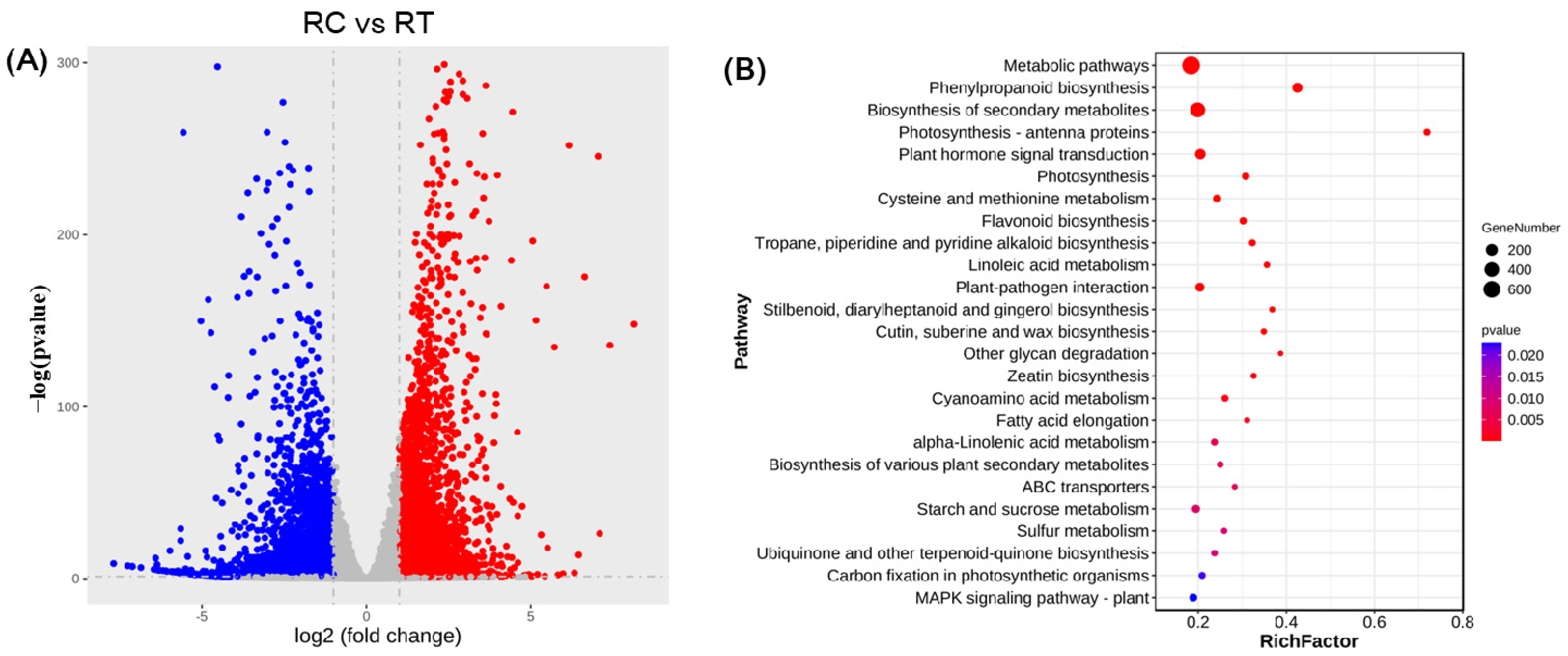 Agronomy 15 02005 g001