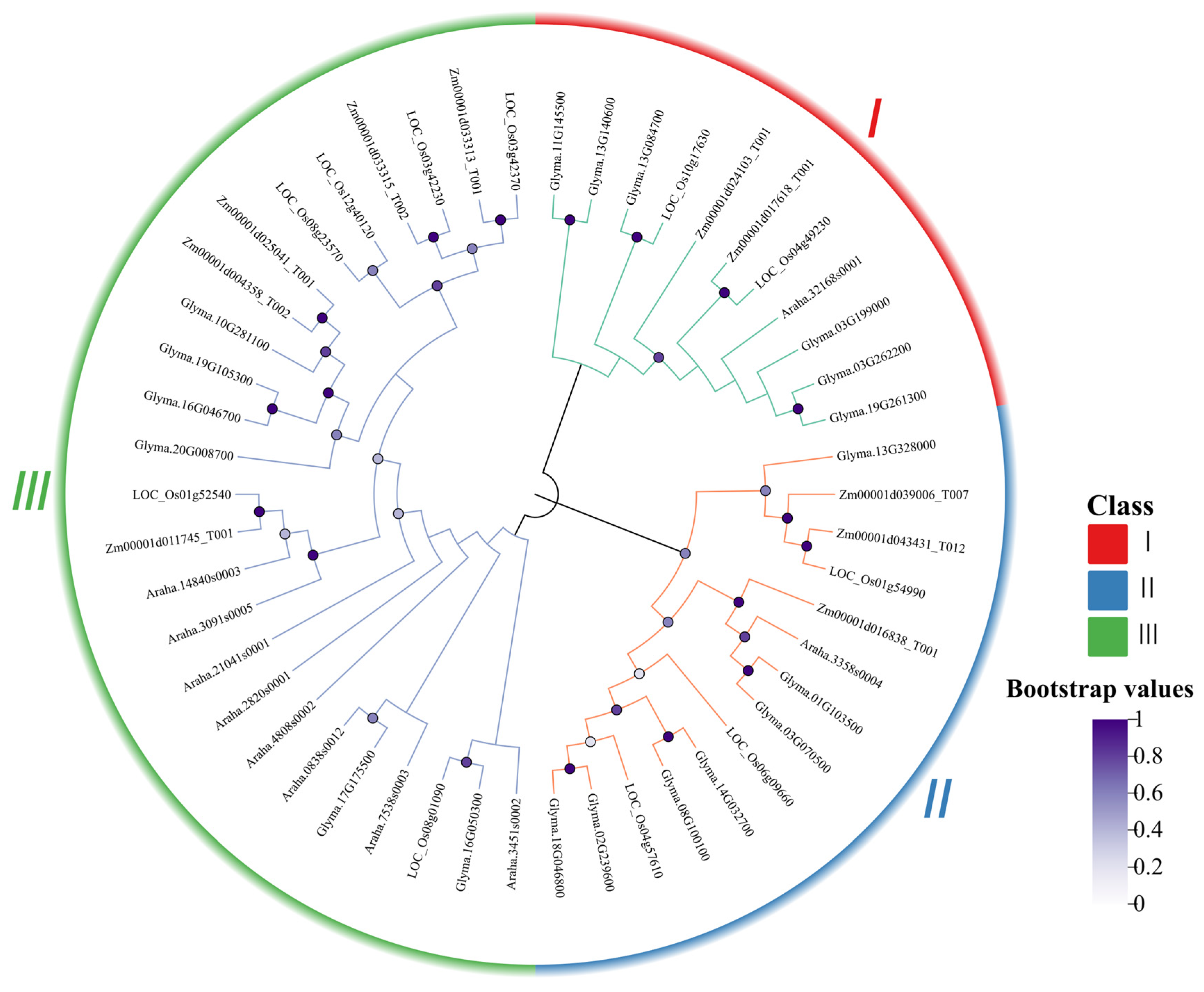 Agronomy 15 02005 g003