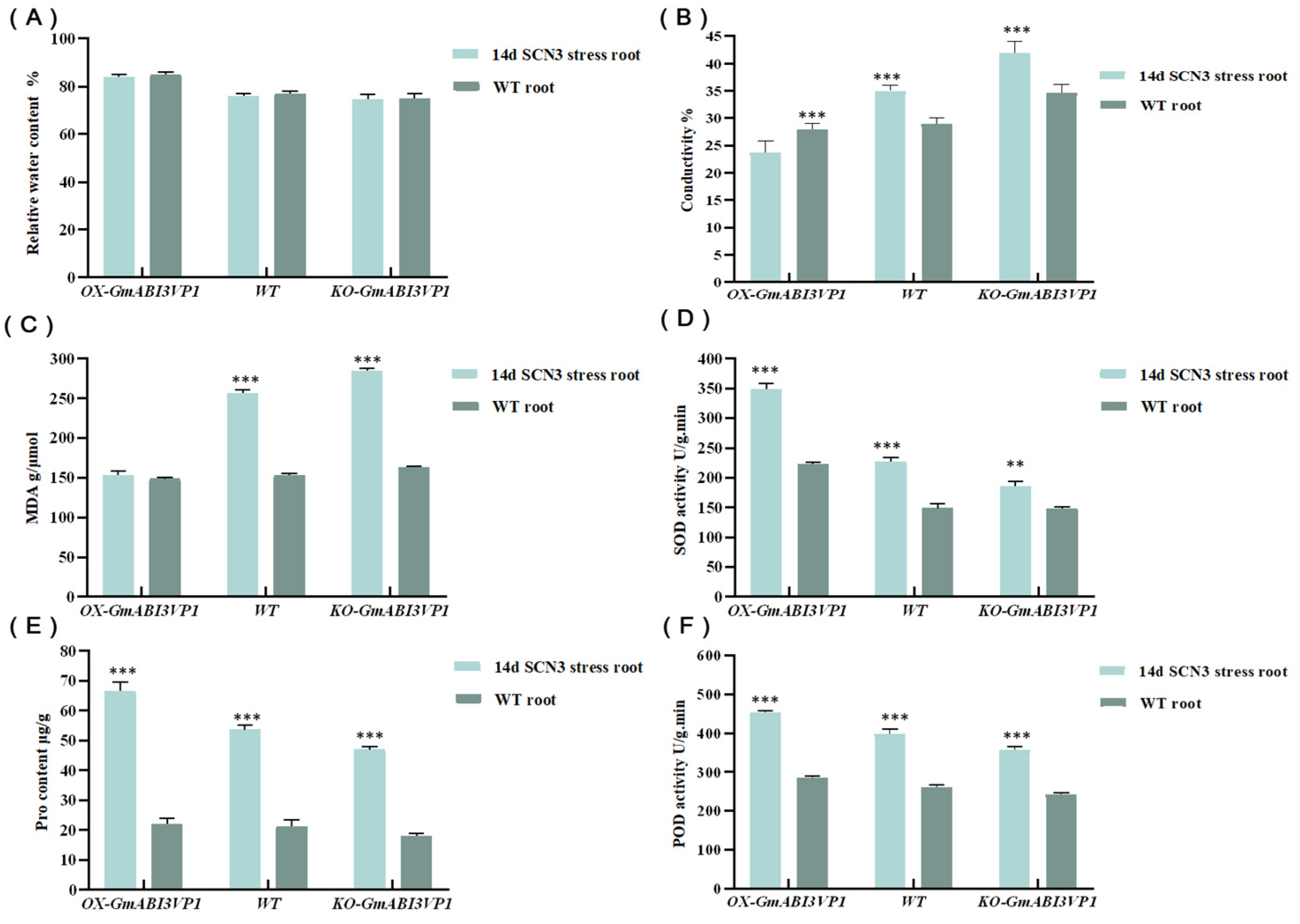 Agronomy 15 02005 g006