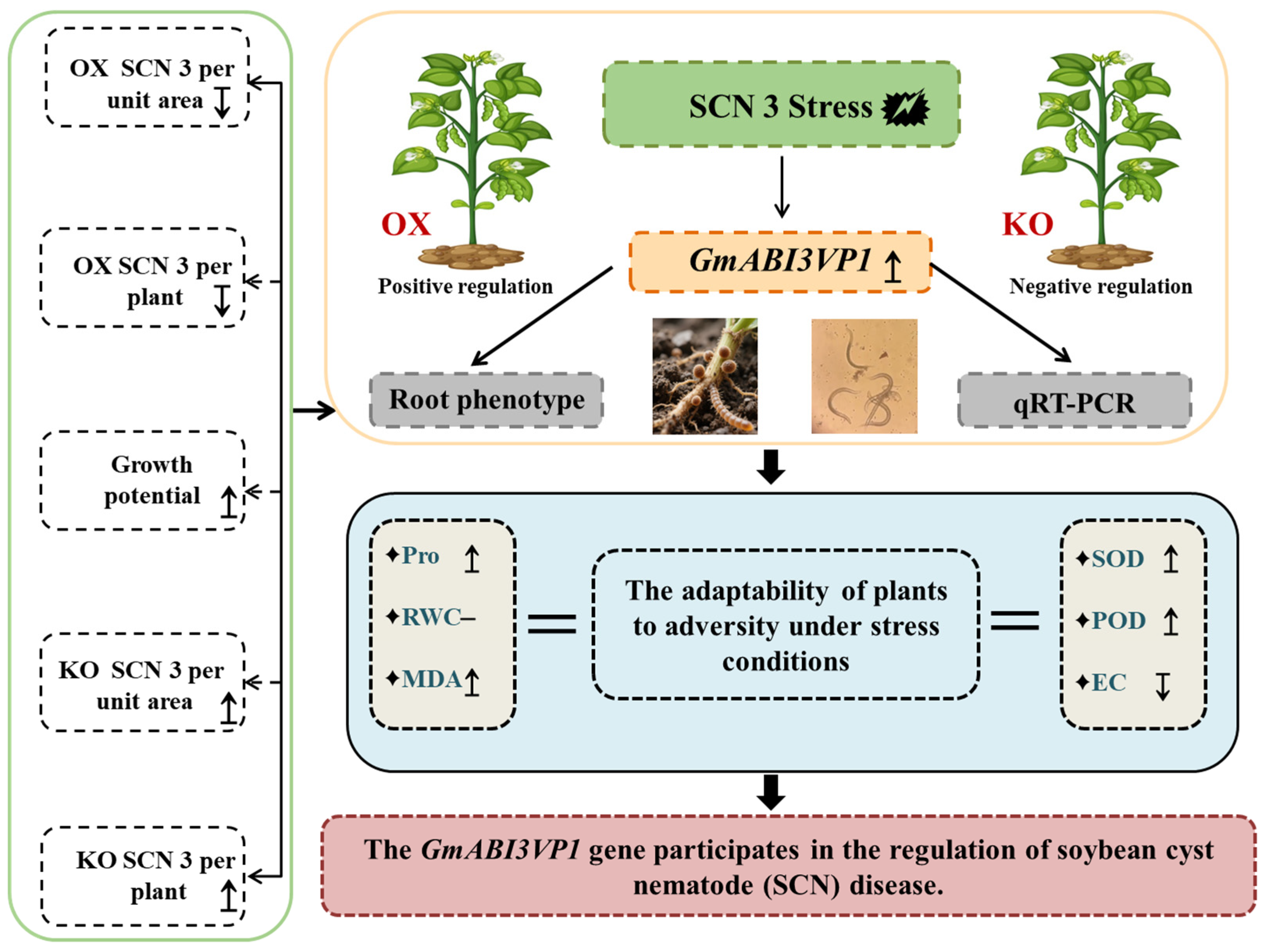 Agronomy 15 02005 g007