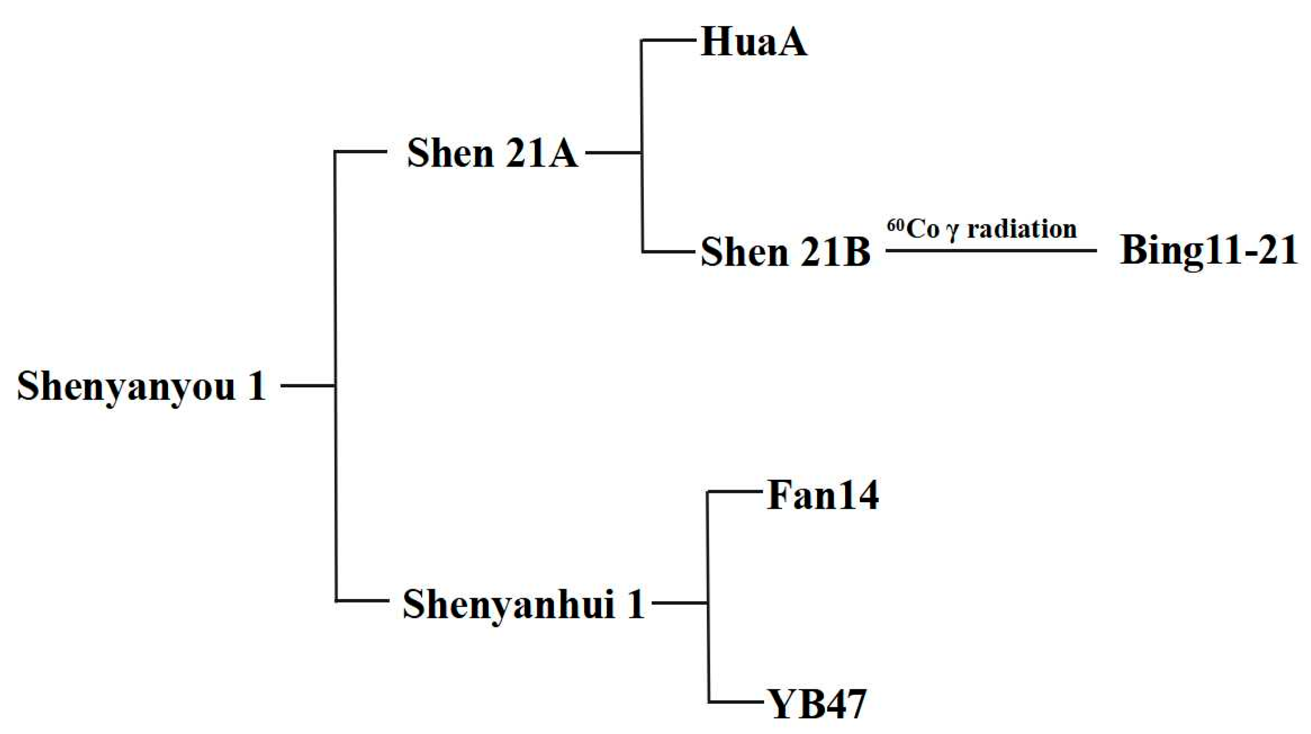 Agronomy 15 02006 g003