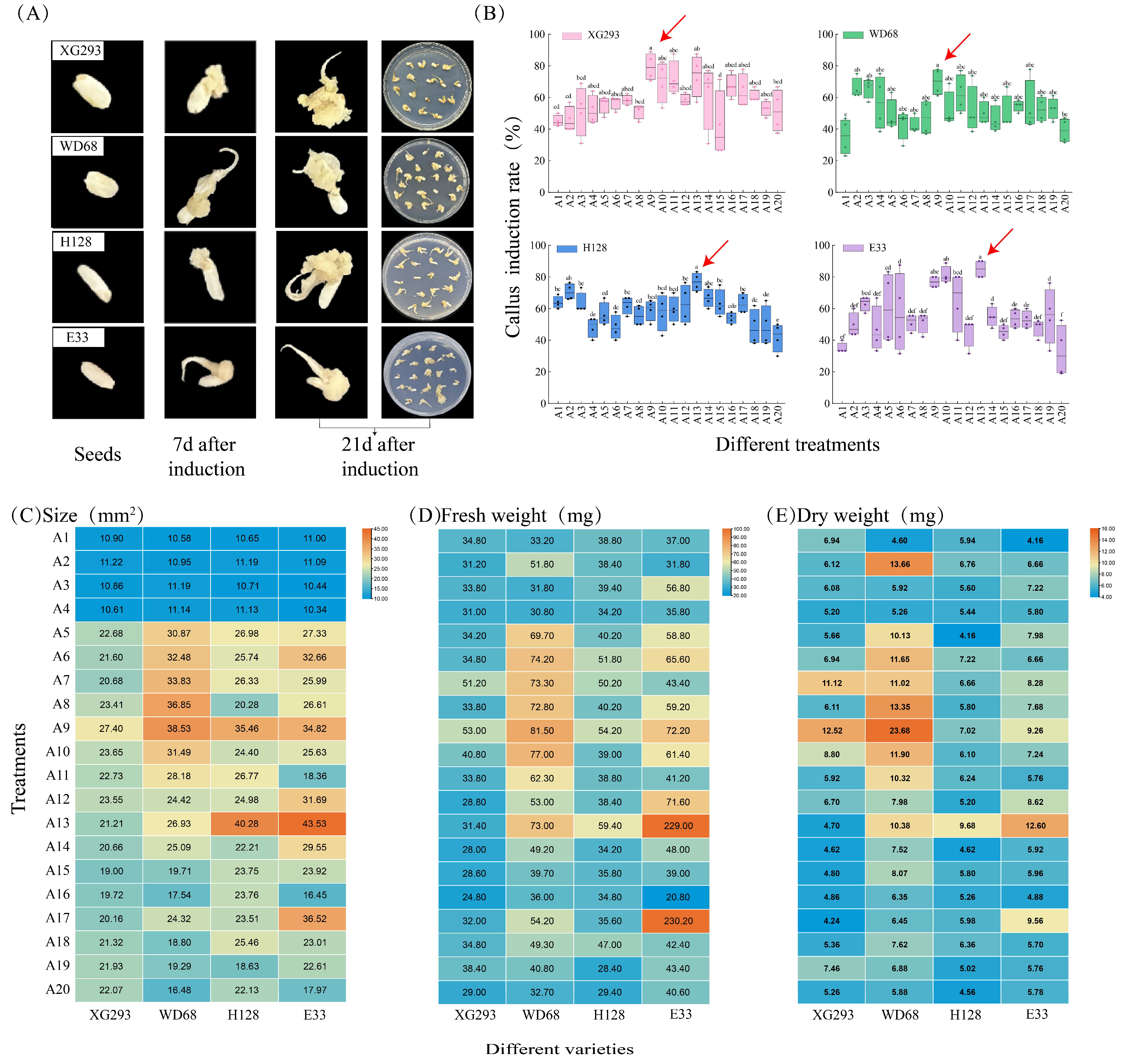 Agronomy 15 02008 g001