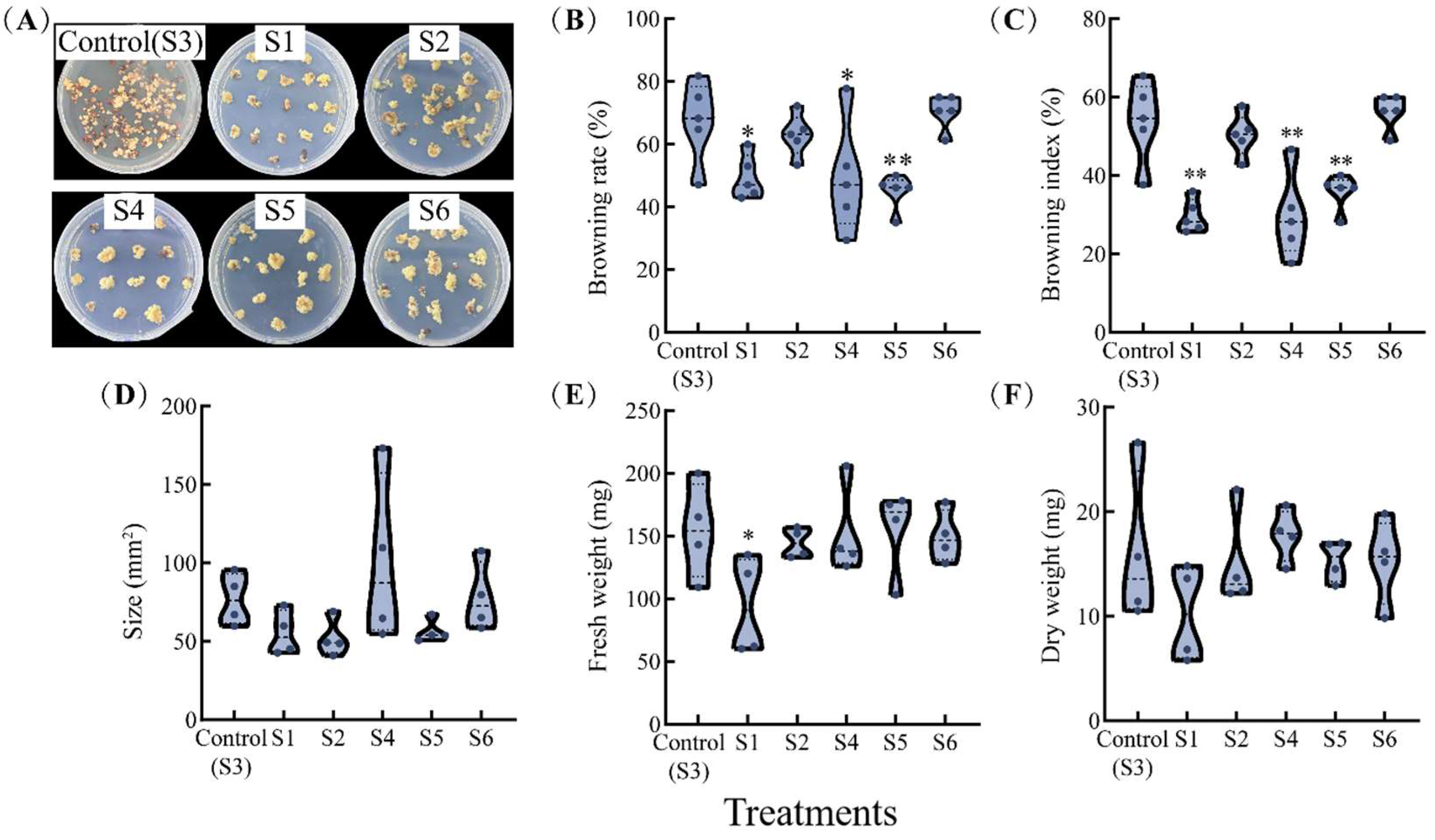 Agronomy 15 02008 g002