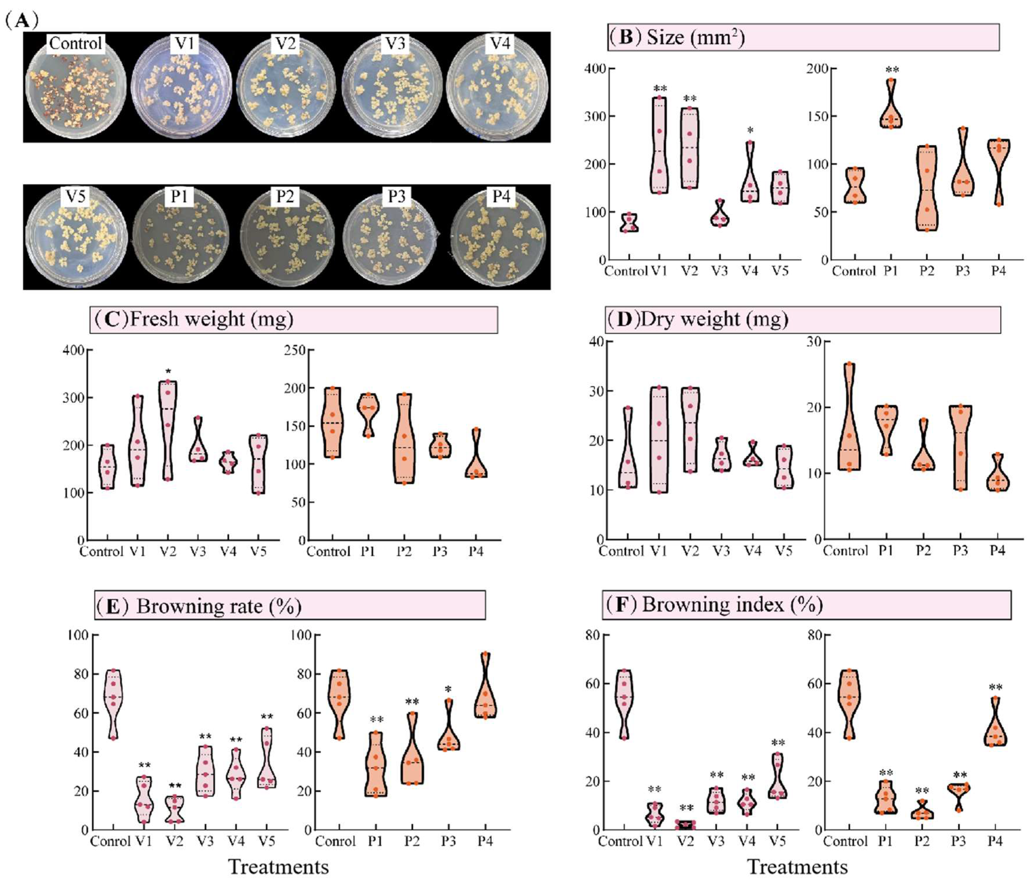 Agronomy 15 02008 g003