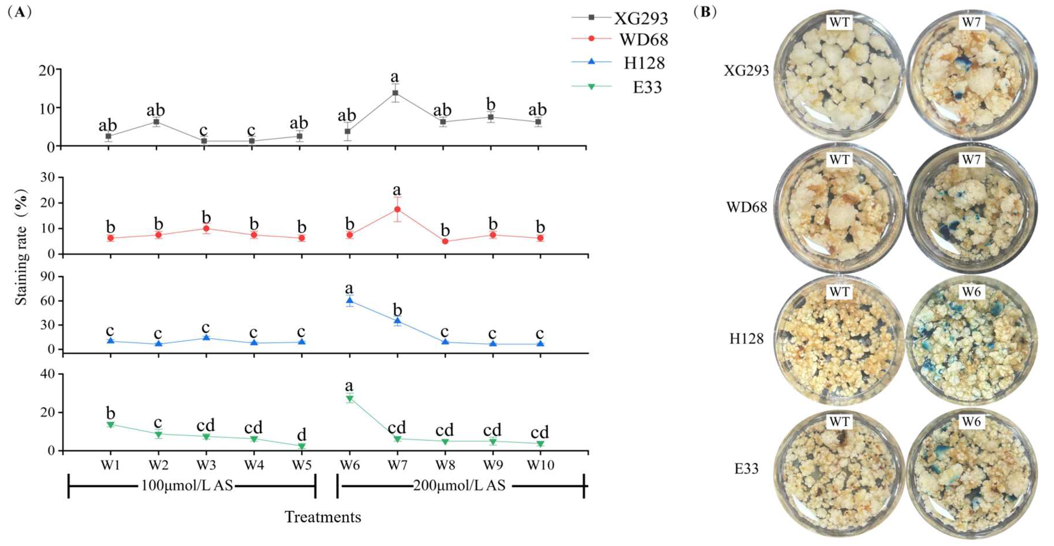Agronomy 15 02008 g006