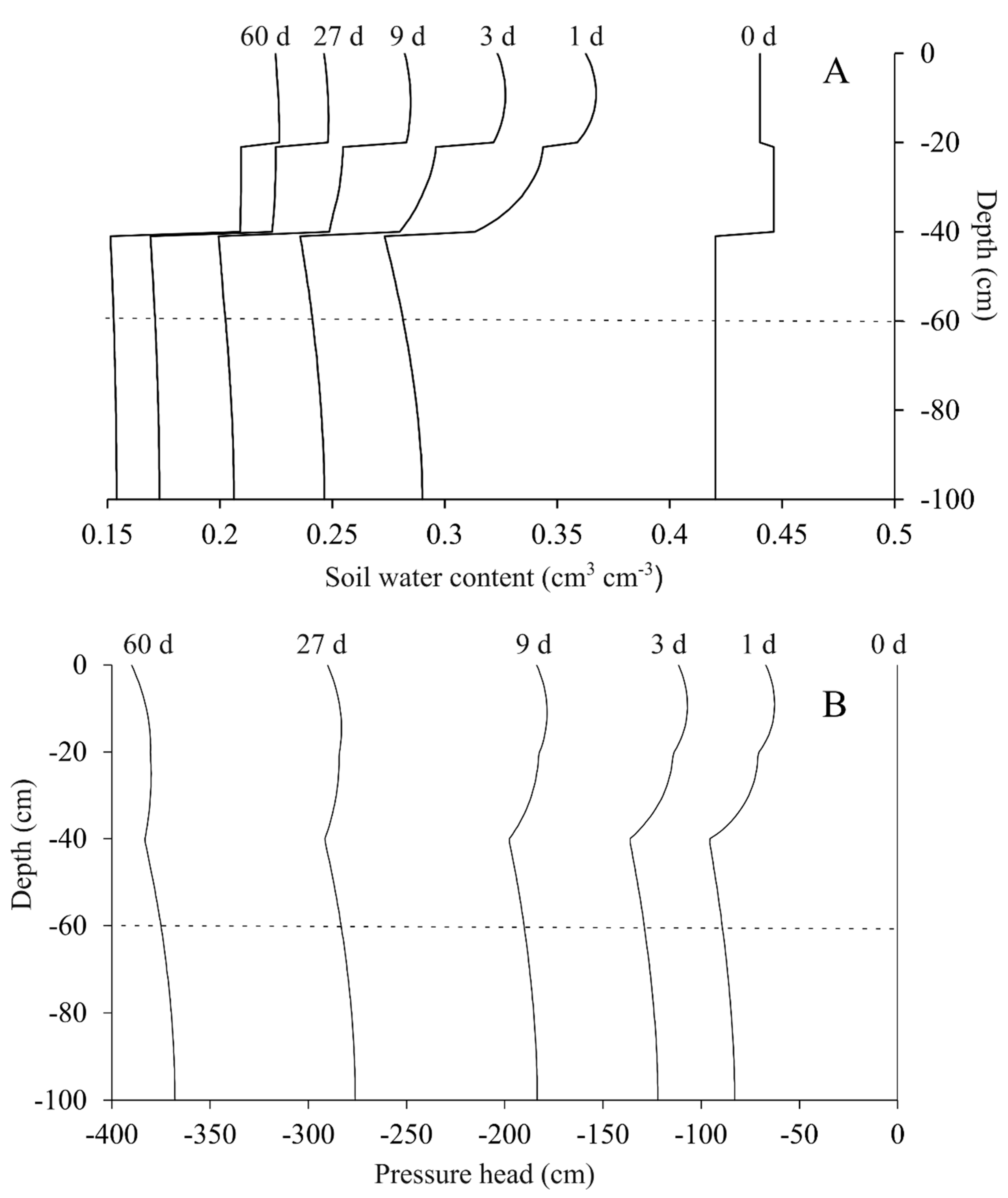 Agronomy 15 02009 g008 Agronomy 15 02009 g008