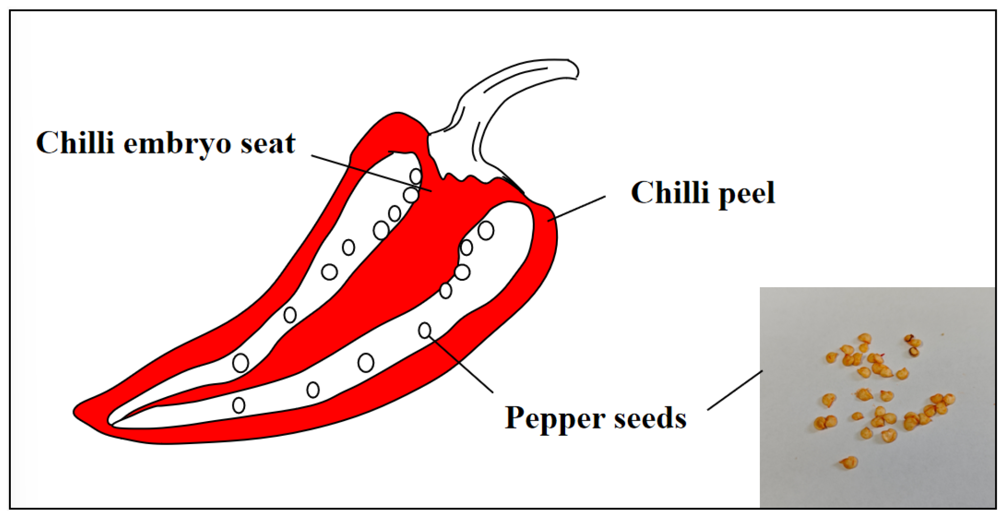Agronomy 15 02024 g002 Agronomy 15 02024 g002