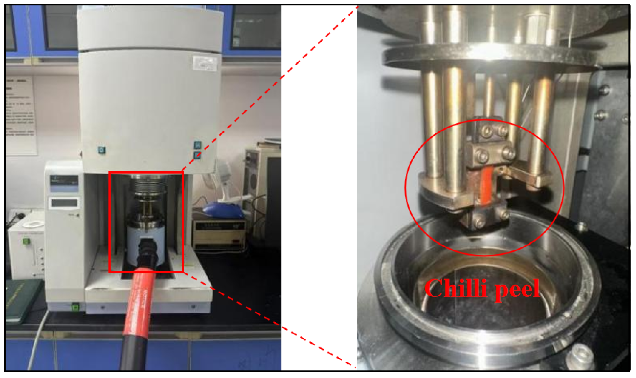 Agronomy 15 02024 g004 Agronomy 15 02024 g004